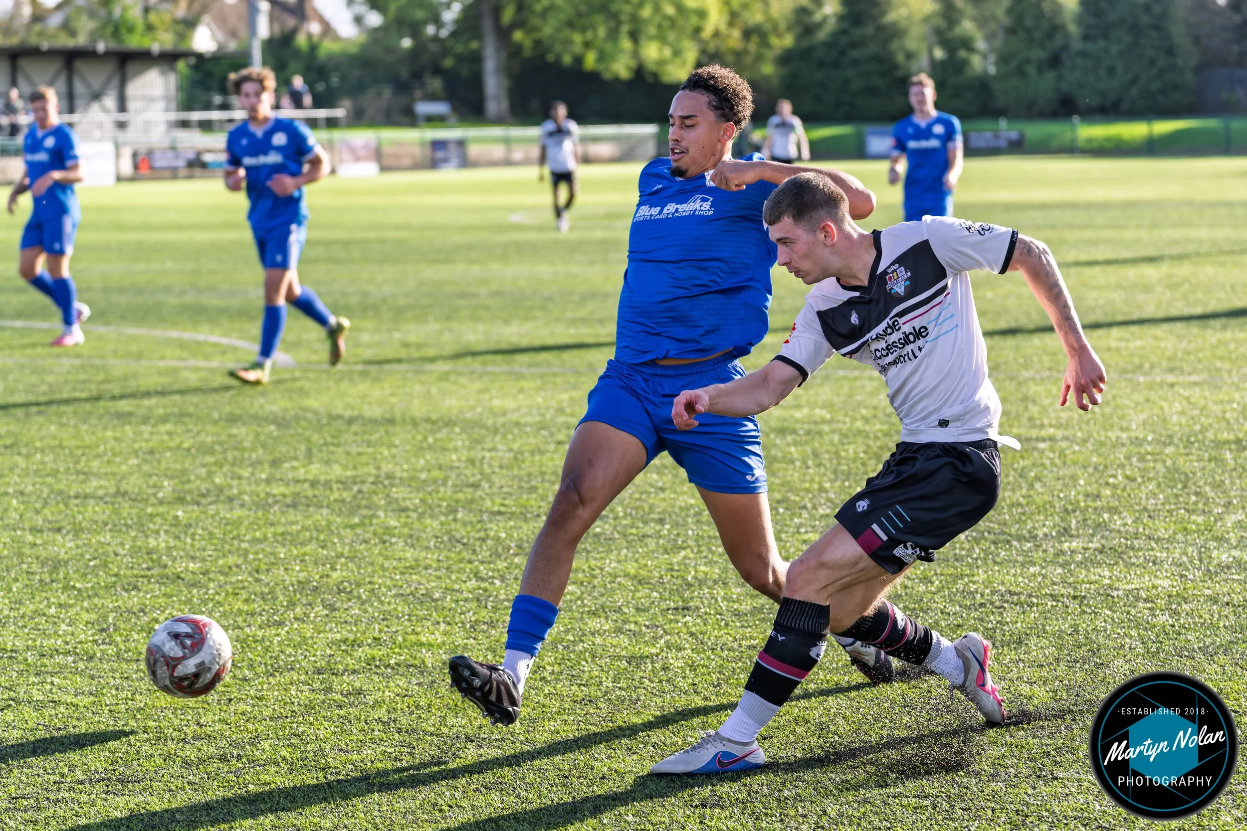 DSC_8311-DxO_DeepPRIME 3.jpg