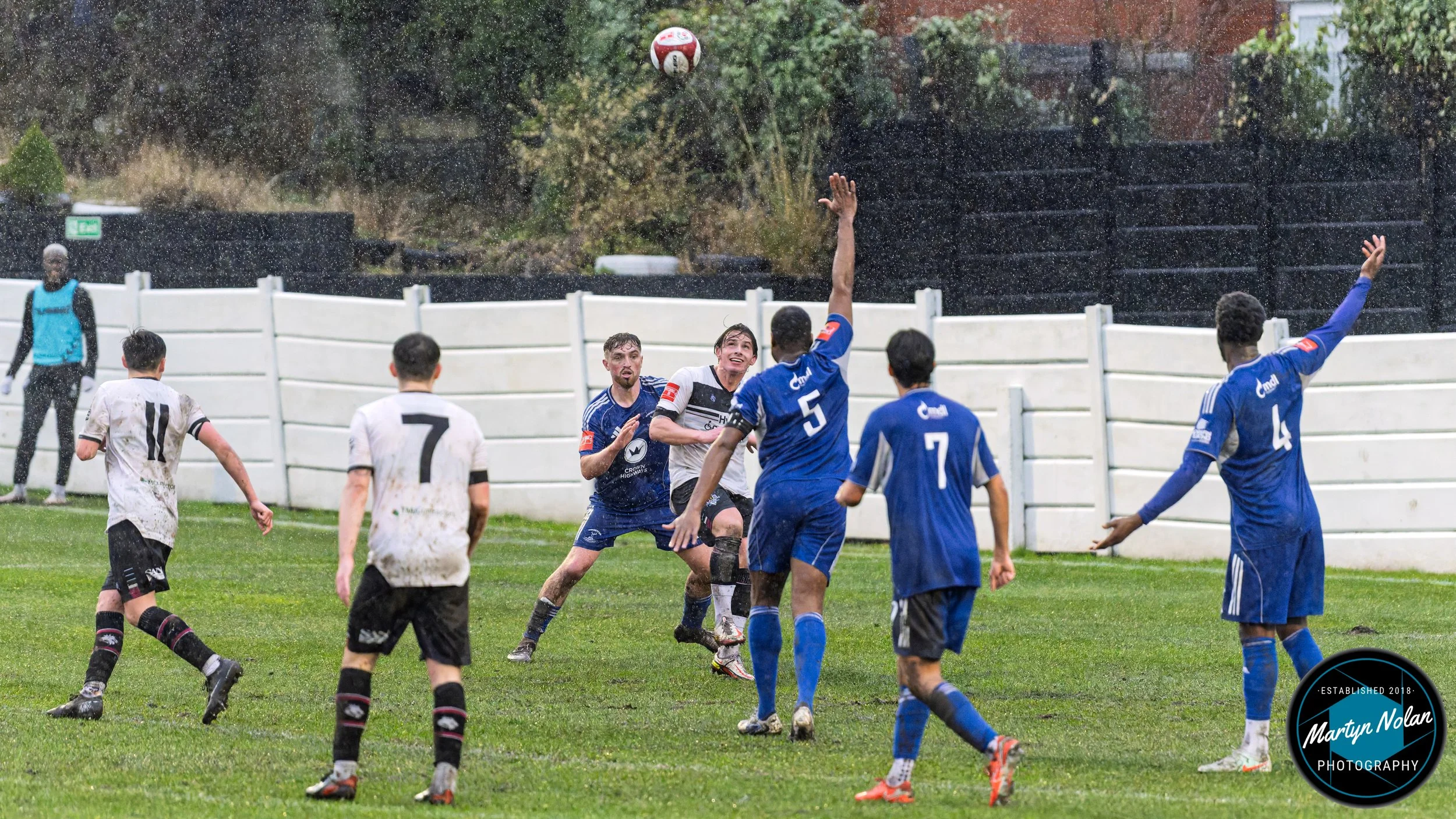 DSC_2196-DxO_DeepPRIME 3.jpg