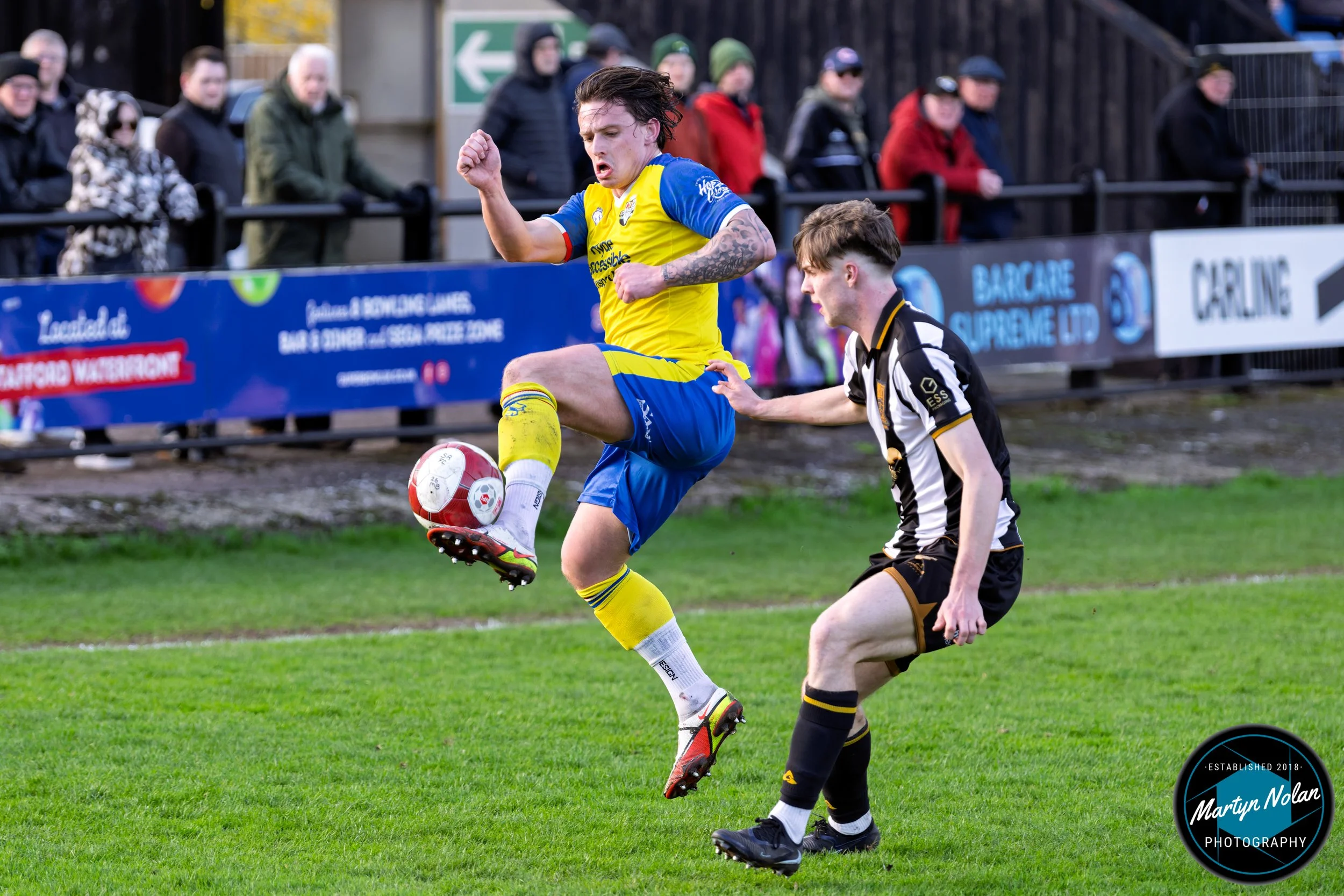 DSC_2062-DxO_DeepPRIME 3.jpg