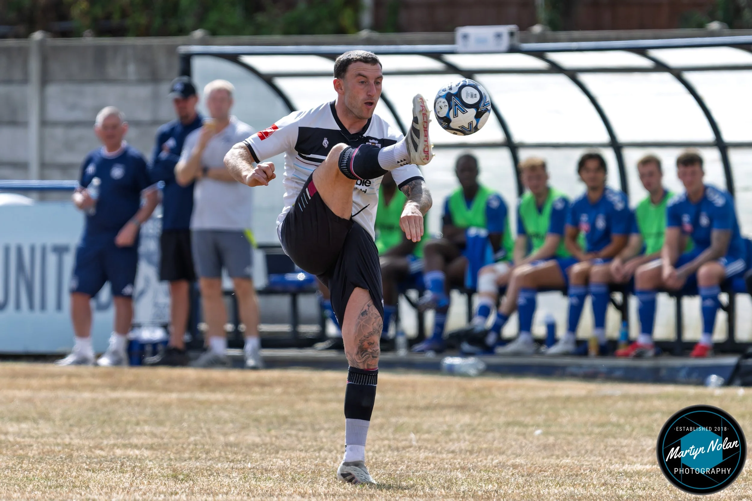 DSC_0705-DxO_DeepPRIME 3.jpg