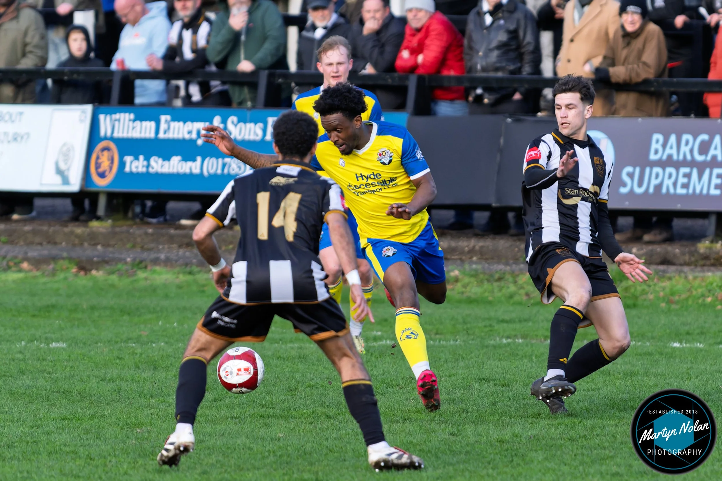 DSC_1808-DxO_DeepPRIME 3.jpg