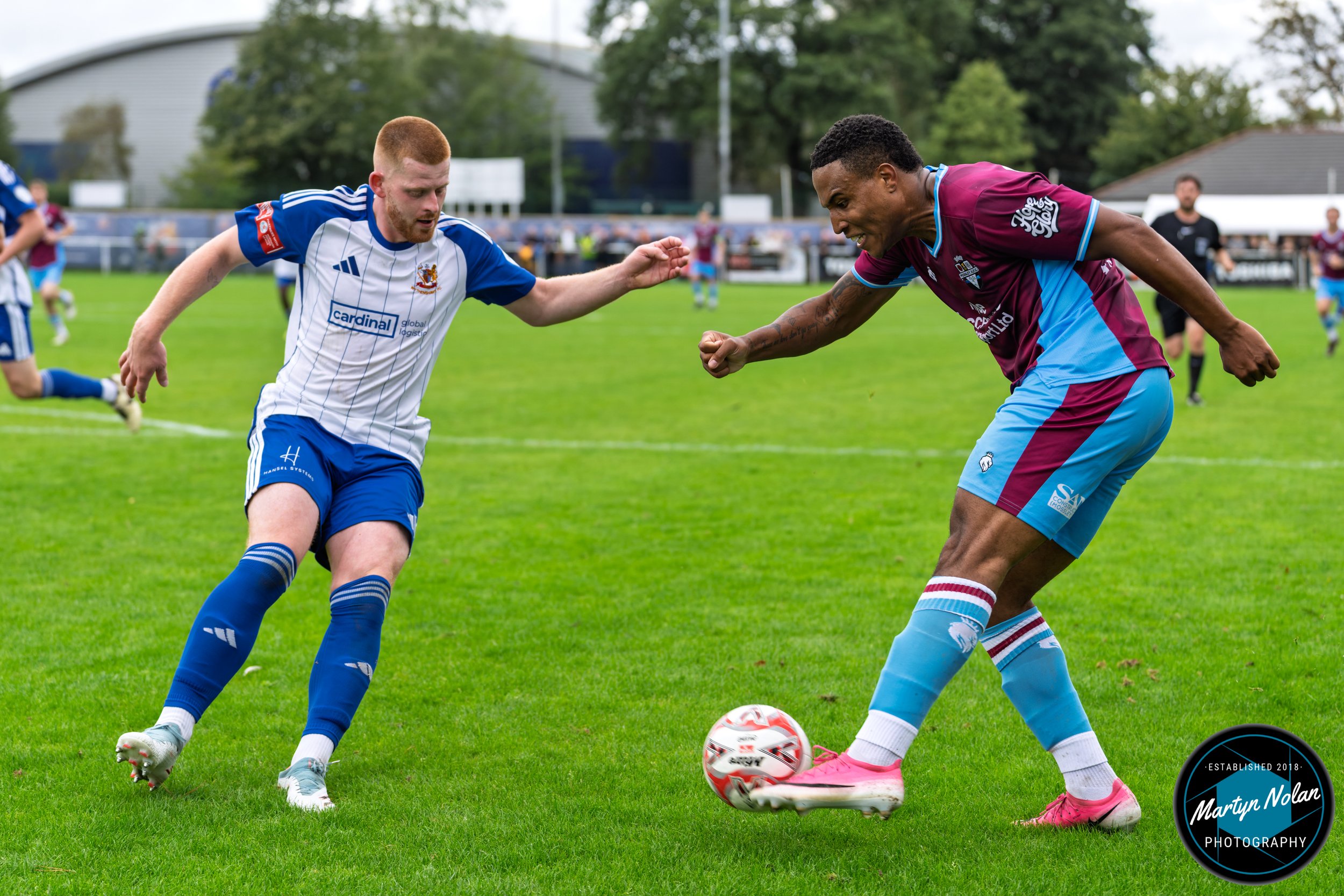 DSC_1547-DxO_DeepPRIME 3.jpg