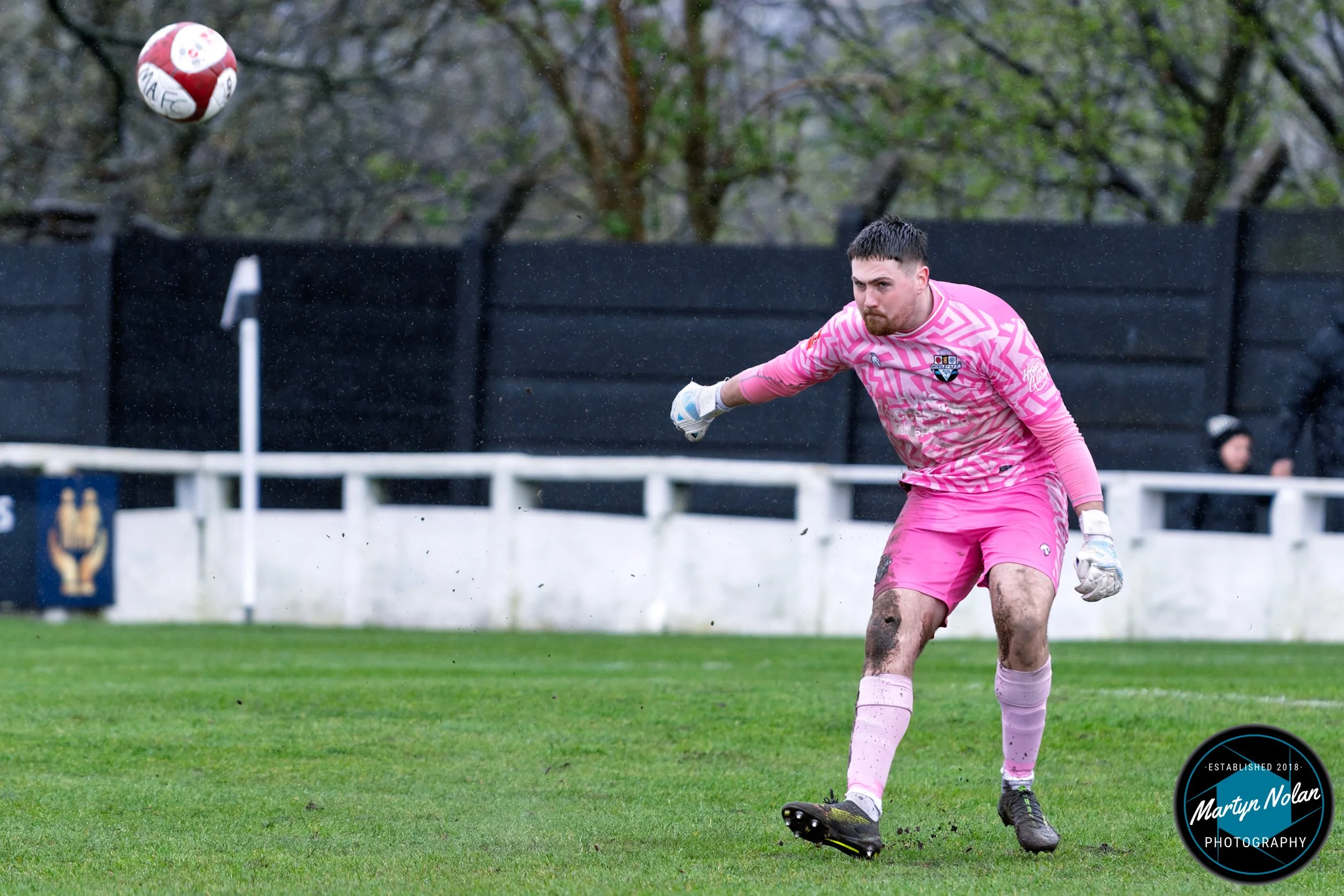 DSC_0044-DxO_DeepPRIME 3.jpg