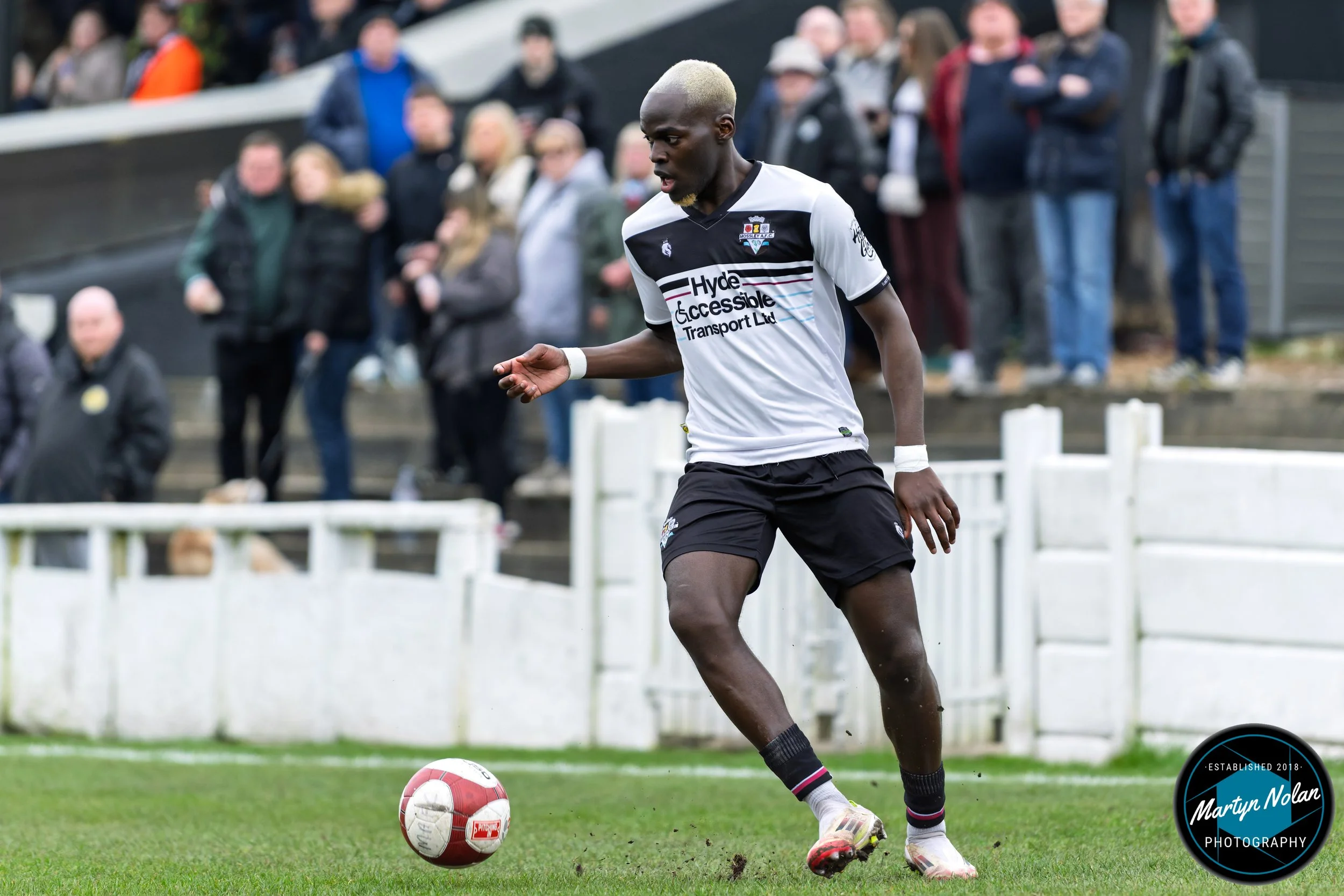 DSC_0854-DxO_DeepPRIME 3.jpg