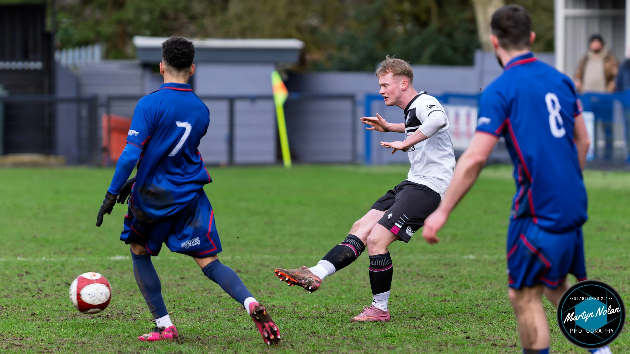 DSC_0097-DxO_DeepPRIME 3.jpg