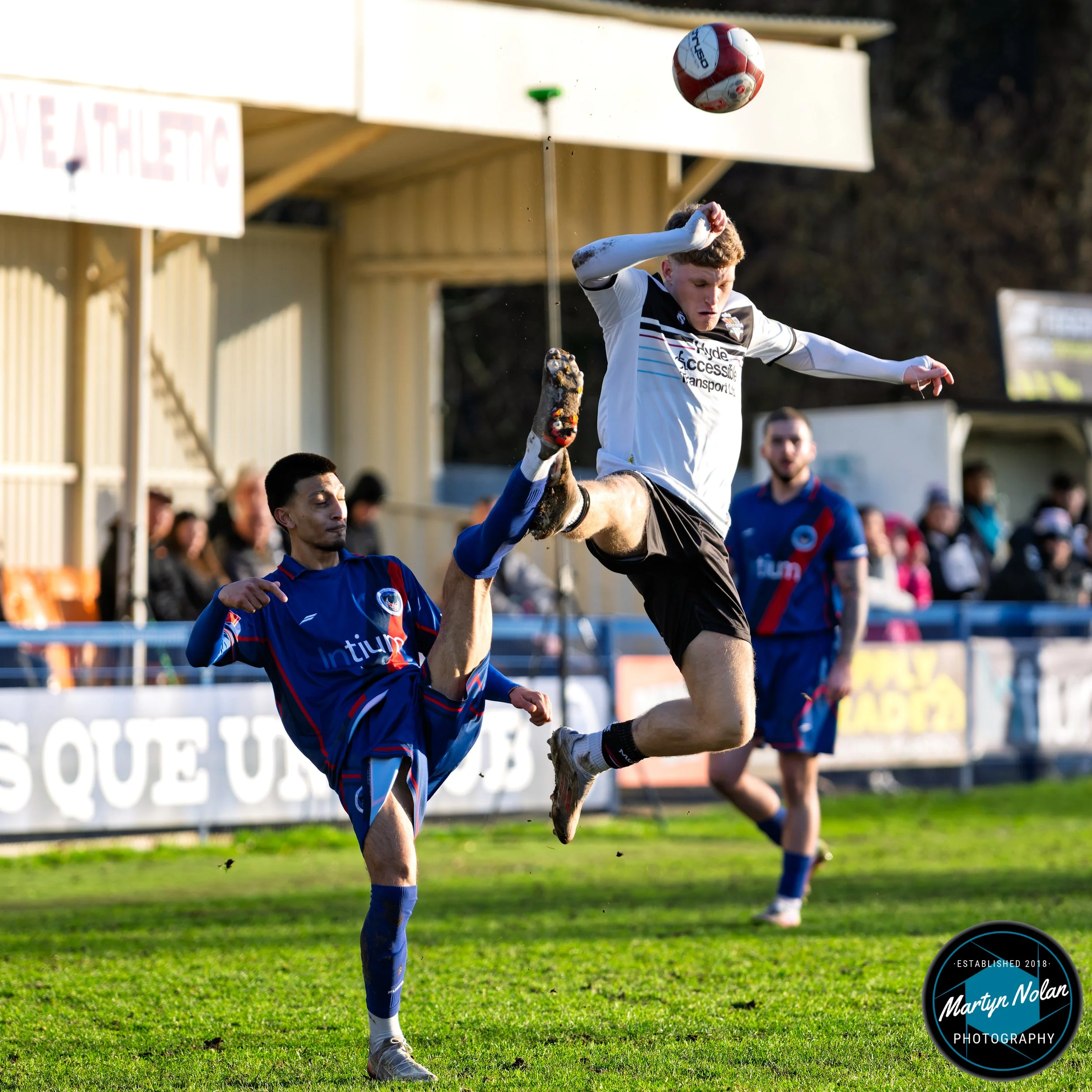 DSC_2292-DxO_DeepPRIME 3.jpg