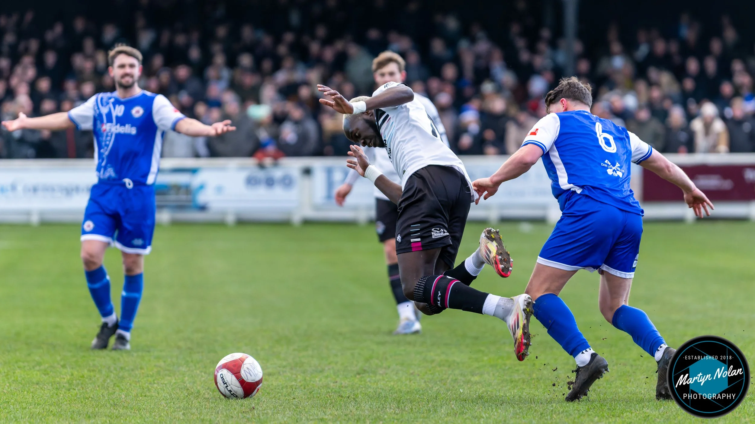 DSC_0781-DxO_DeepPRIME 3.jpg