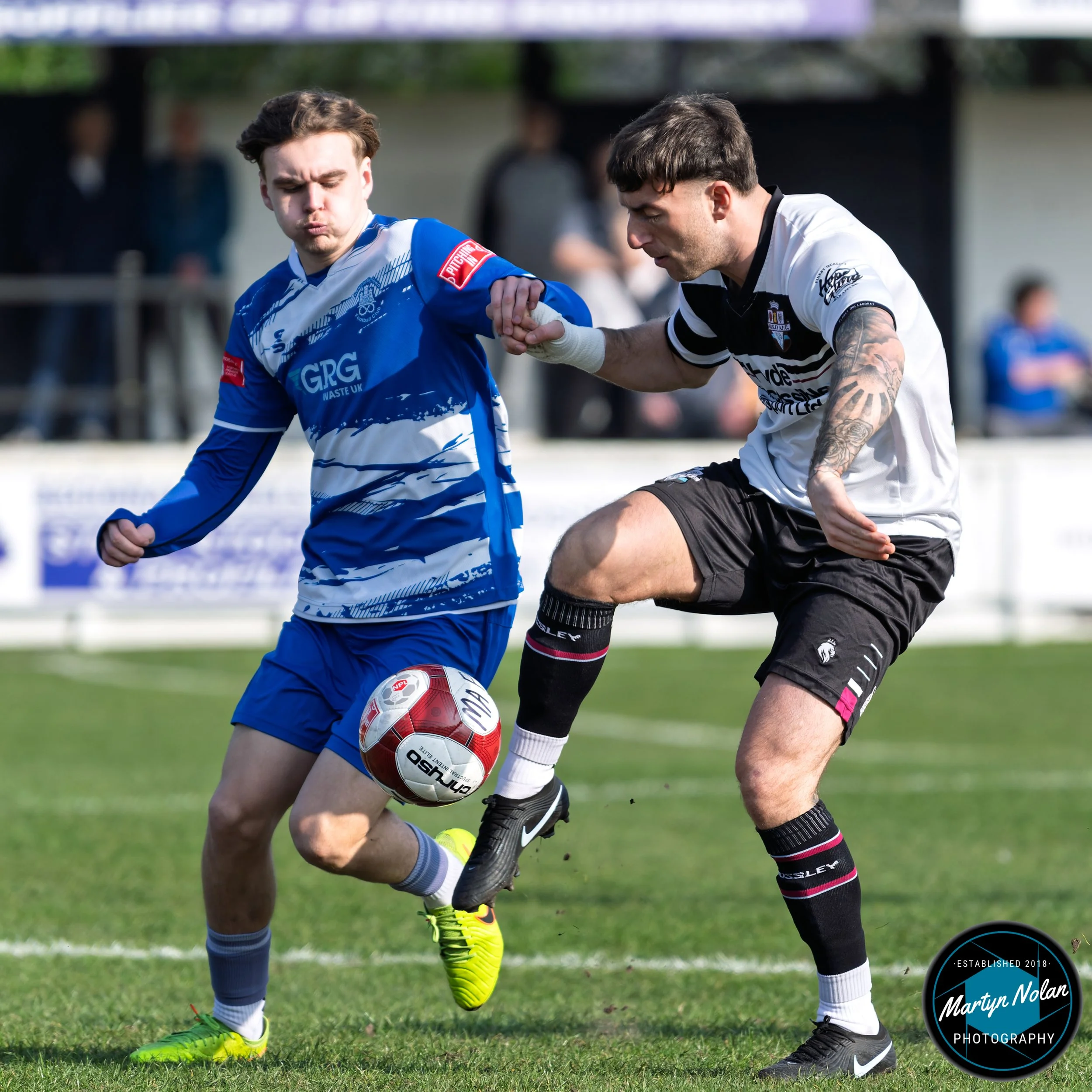 DSC_0074-DxO_DeepPRIME 3.jpg