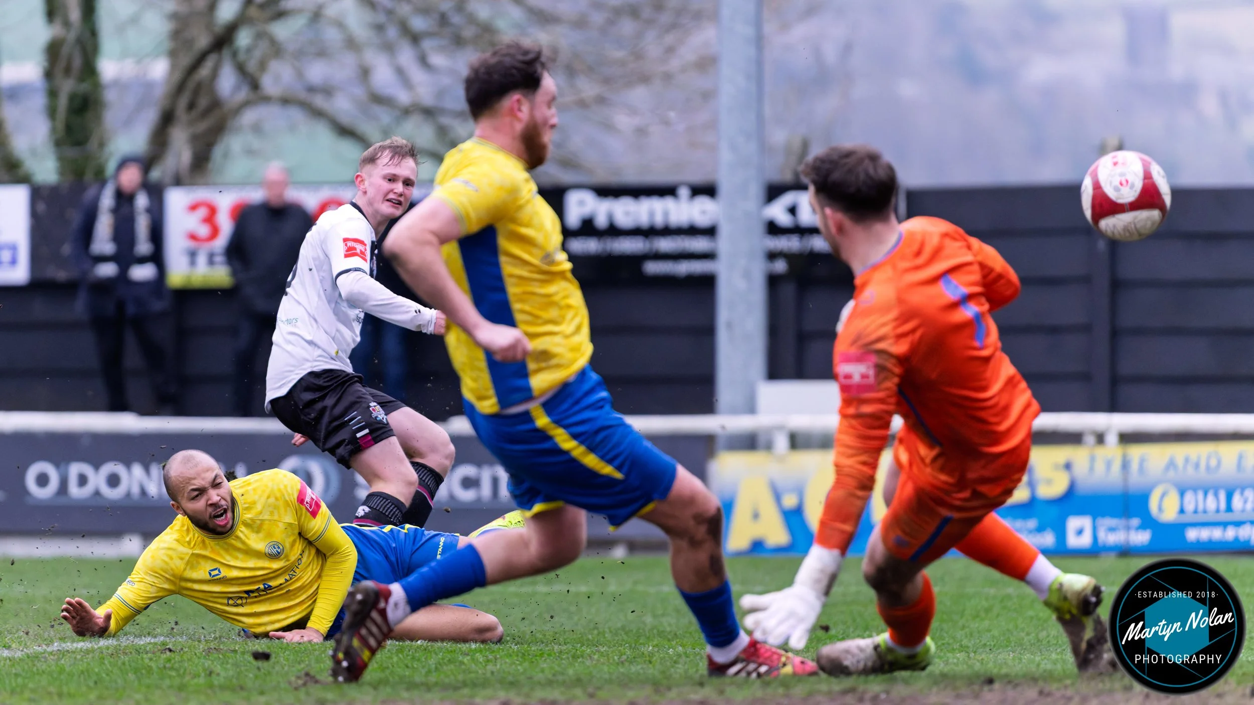 DSC_2932-DxO_DeepPRIME 3.jpg