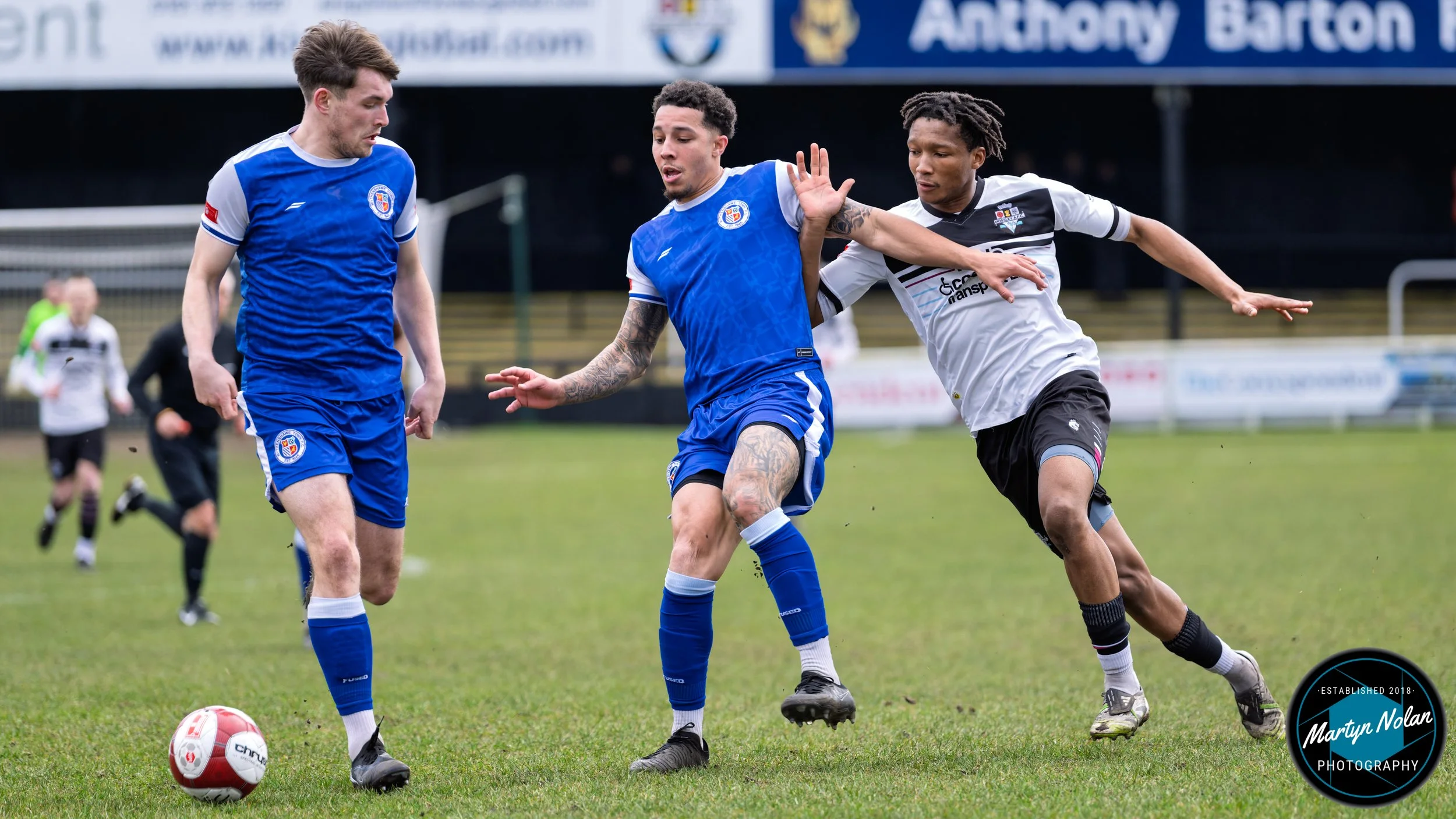 DSC_0213-DxO_DeepPRIME 3.jpg