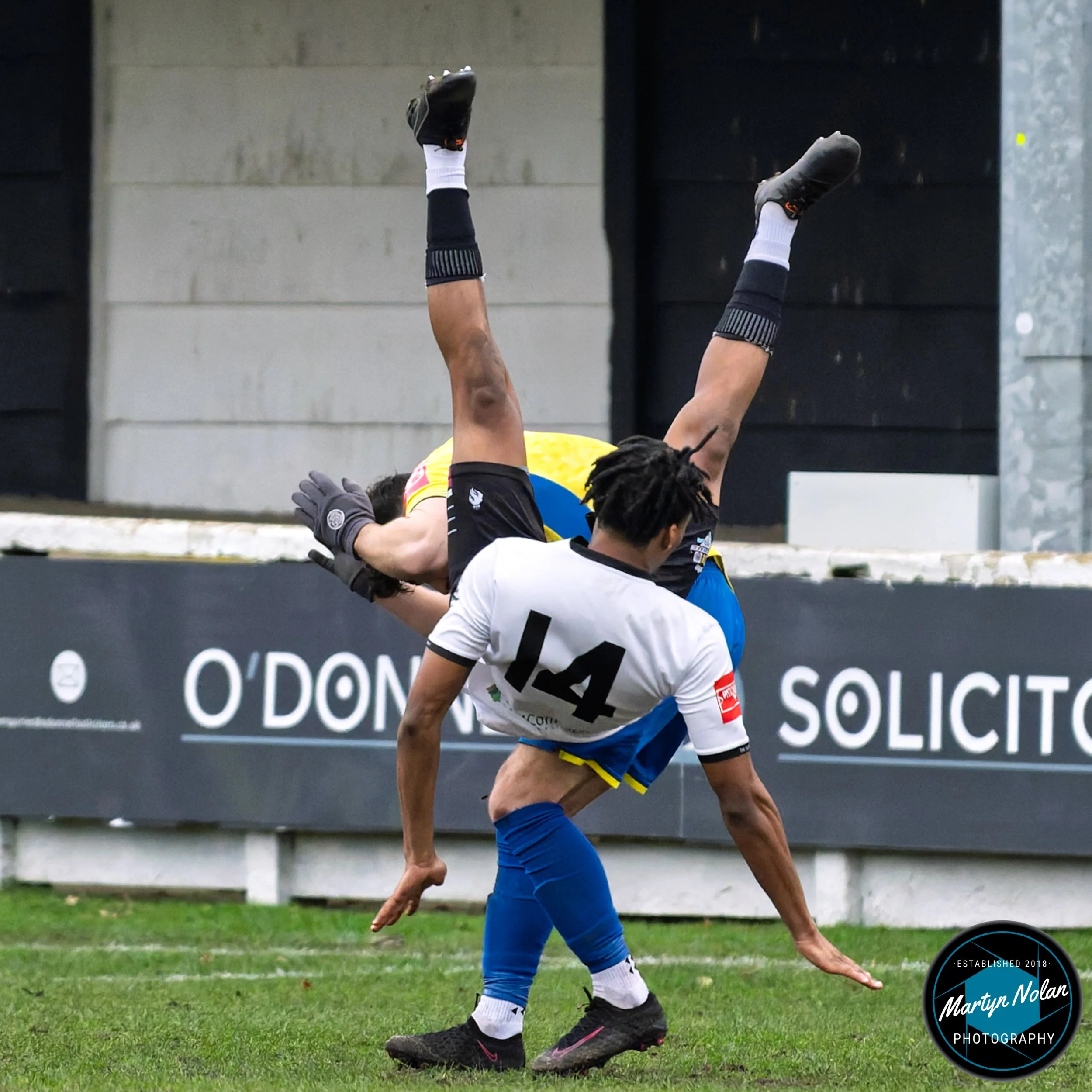 DSC_2623-DxO_DeepPRIME 3.jpg