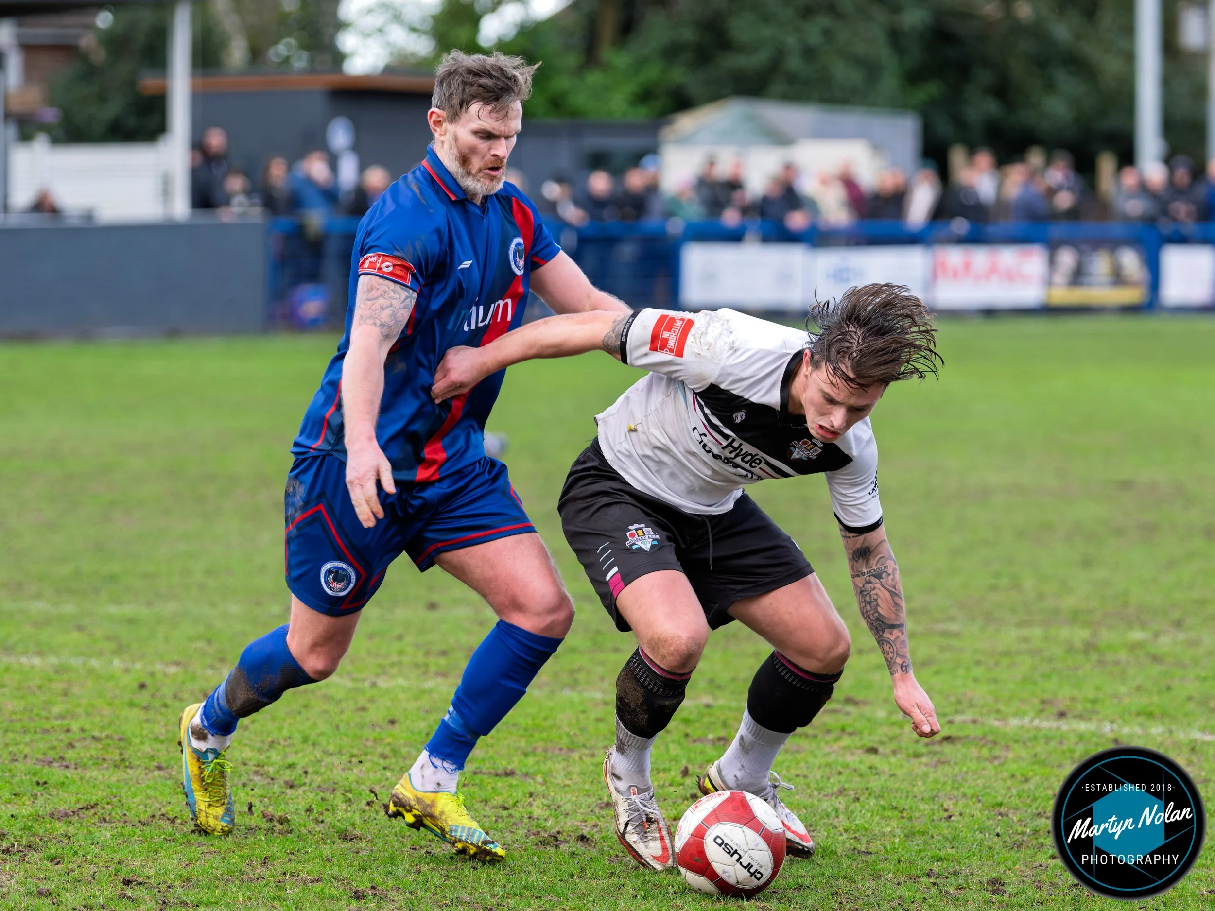 DSC_0910-DxO_DeepPRIME 3.jpg