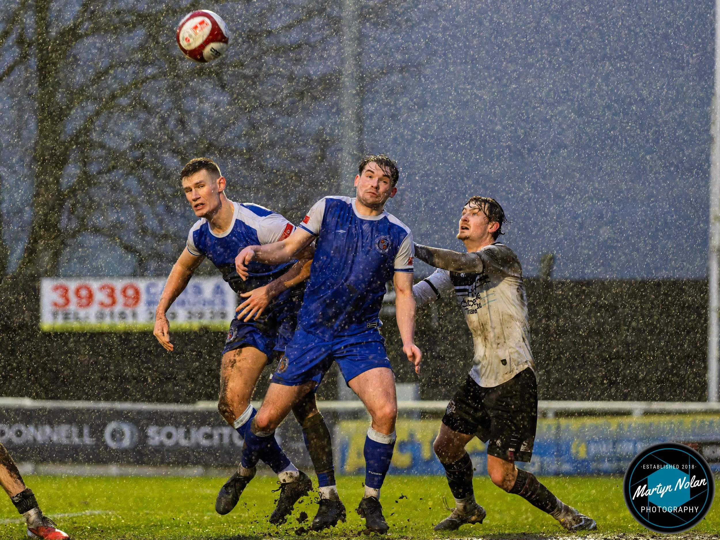 DSC_2564-DxO_DeepPRIME 3.jpg