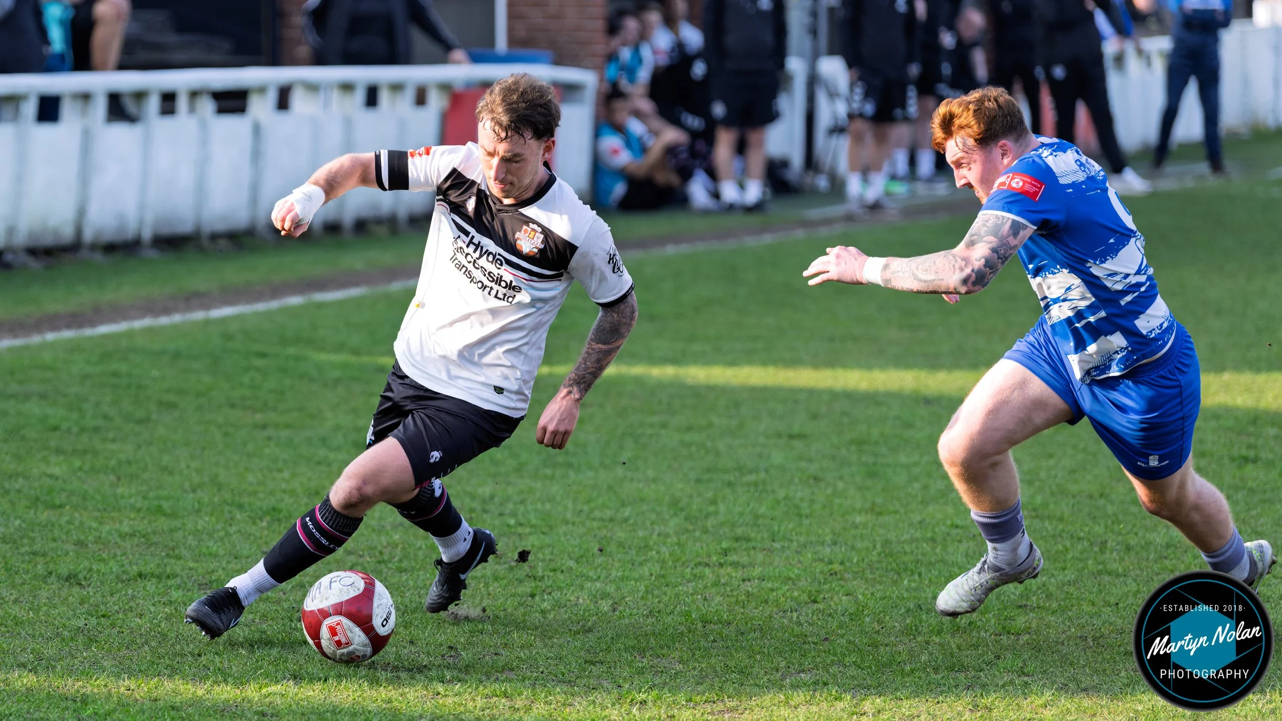 DSC_3125-DxO_DeepPRIME 3.jpg