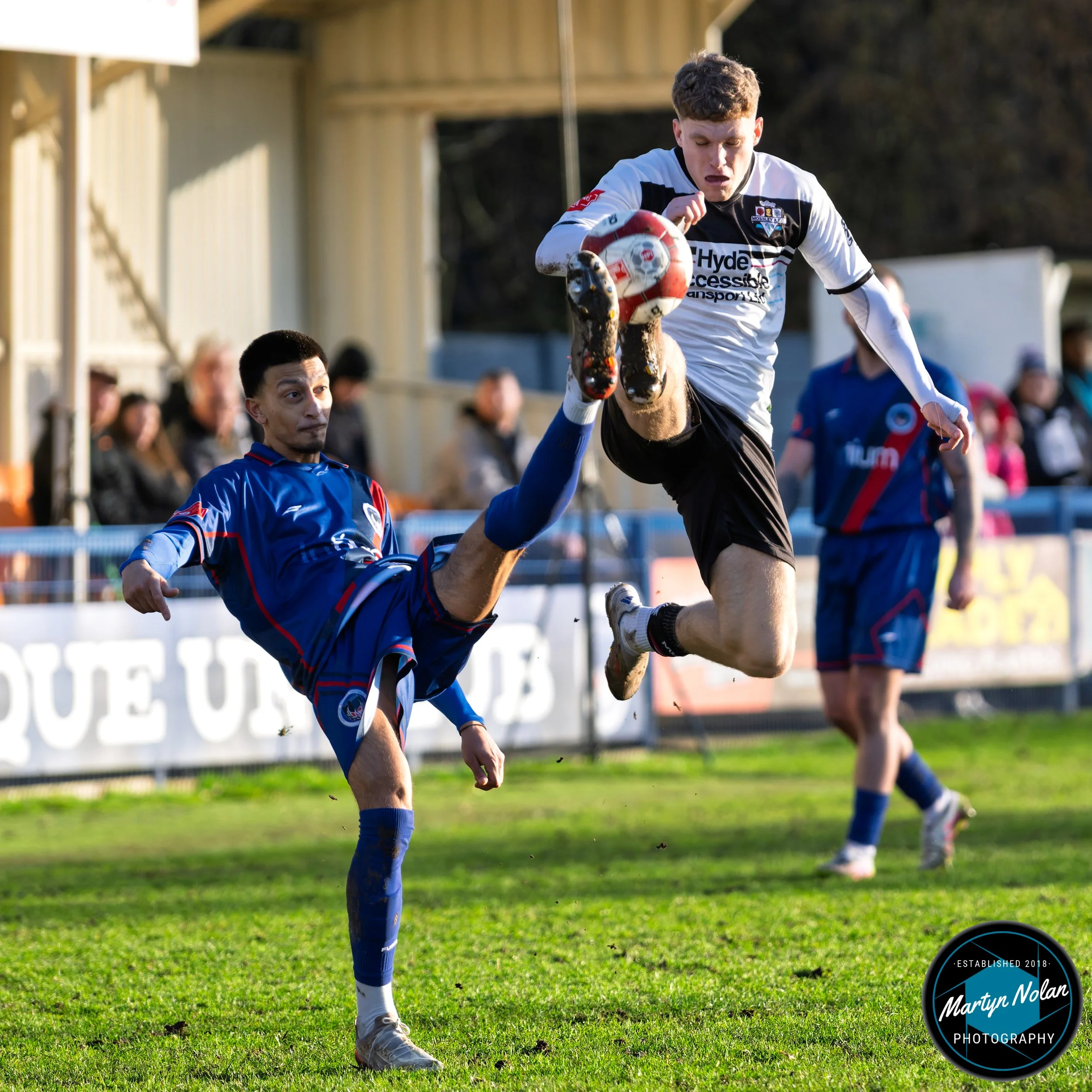 DSC_2290-DxO_DeepPRIME 3.jpg