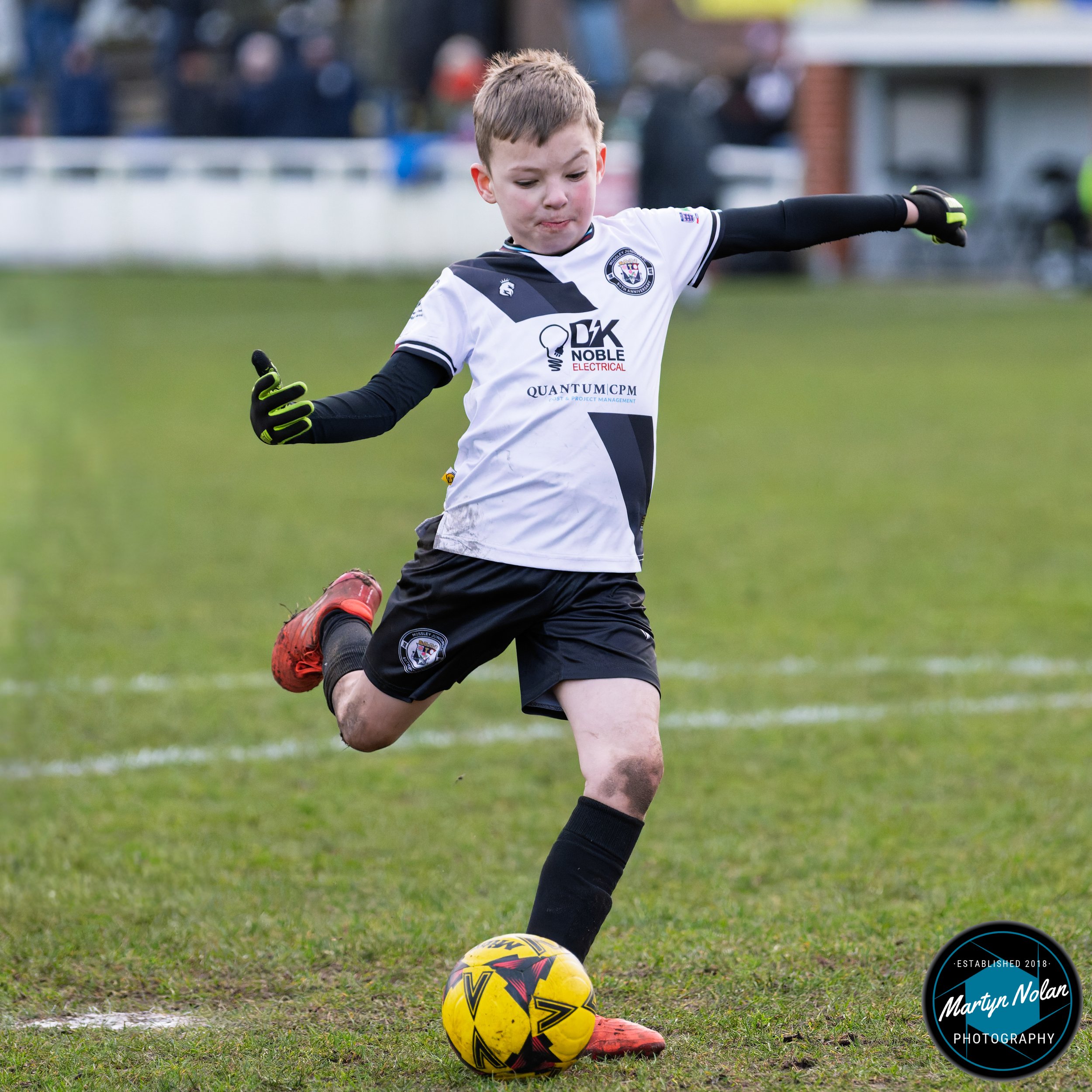 DSC_2802-DxO_DeepPRIME 3.jpg