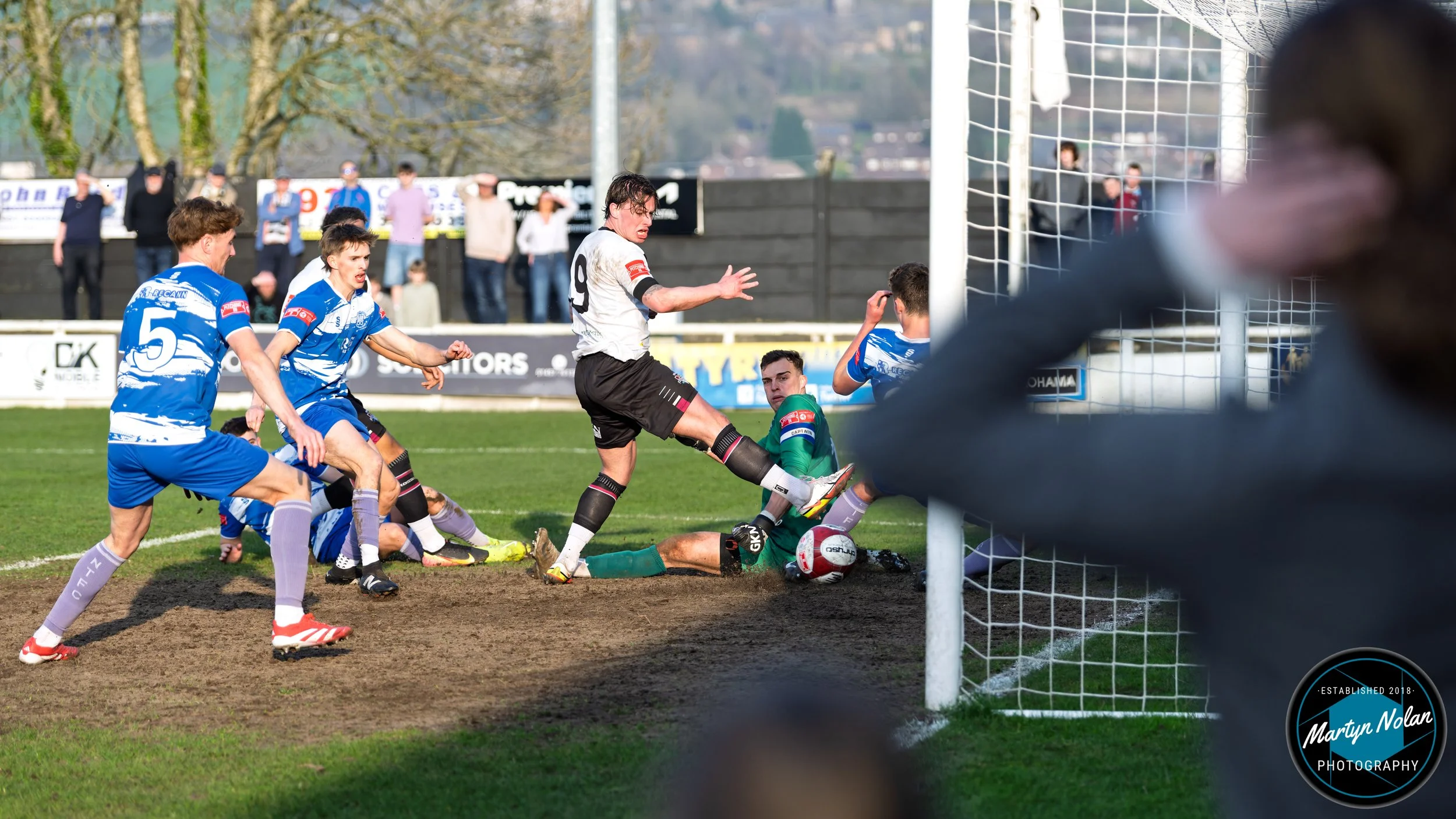 DSC_3909-DxO_DeepPRIME 3.jpg