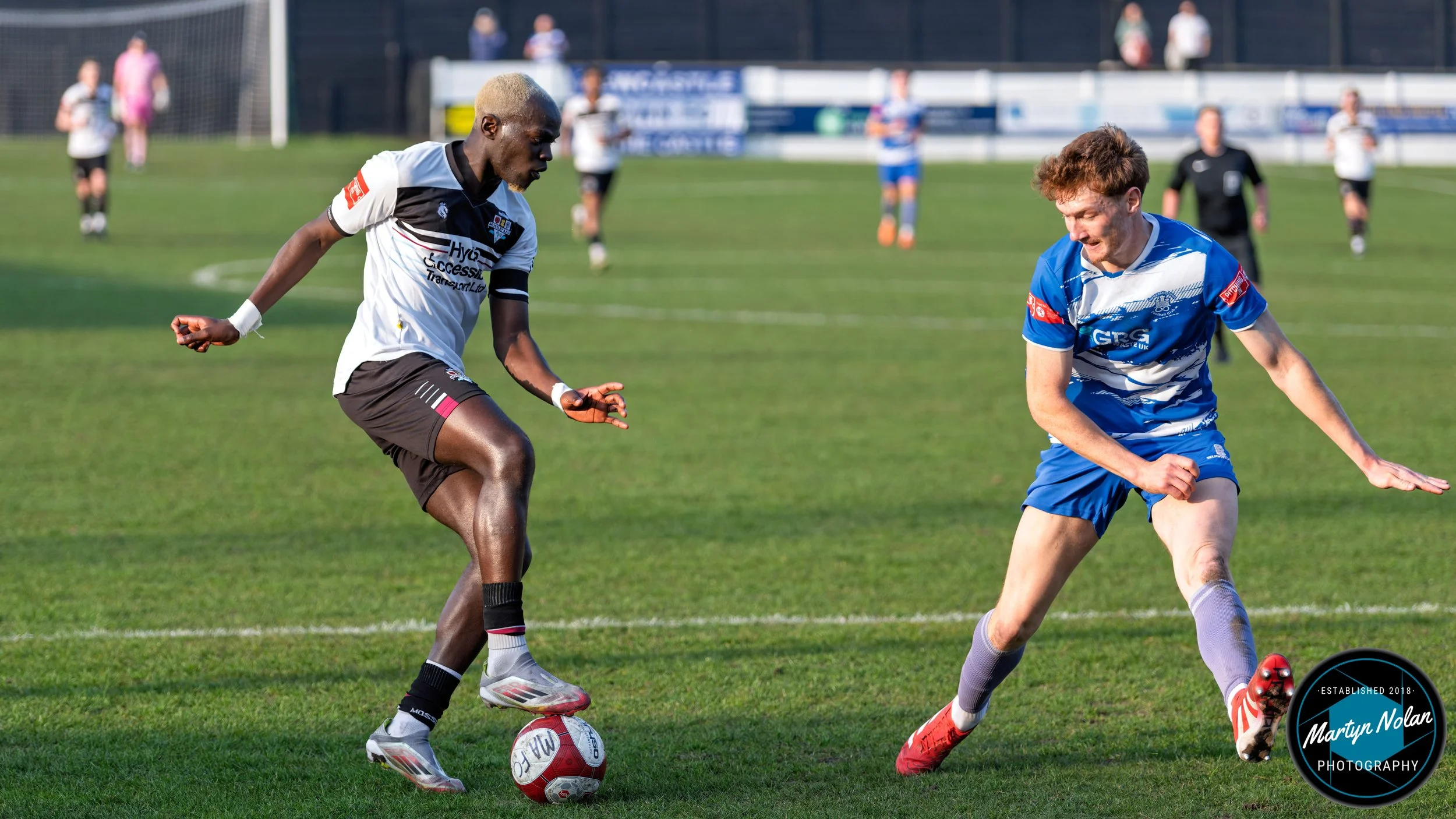 DSC_4037-DxO_DeepPRIME 3.jpg