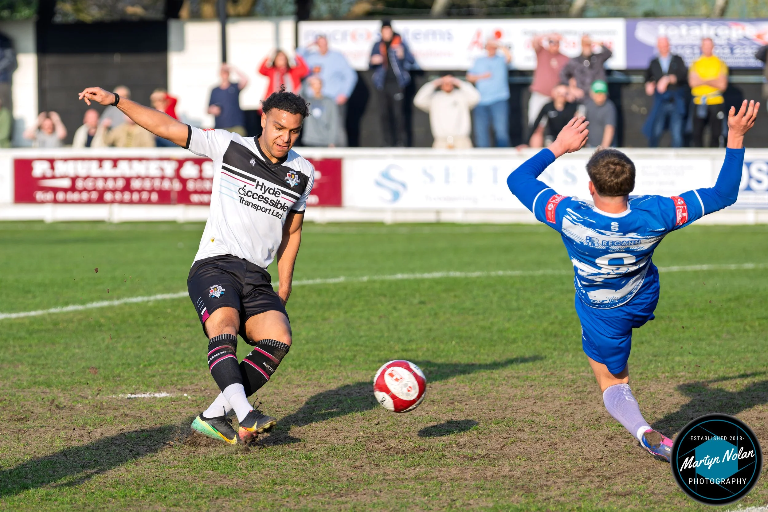 DSC_3719-DxO_DeepPRIME 3.jpg