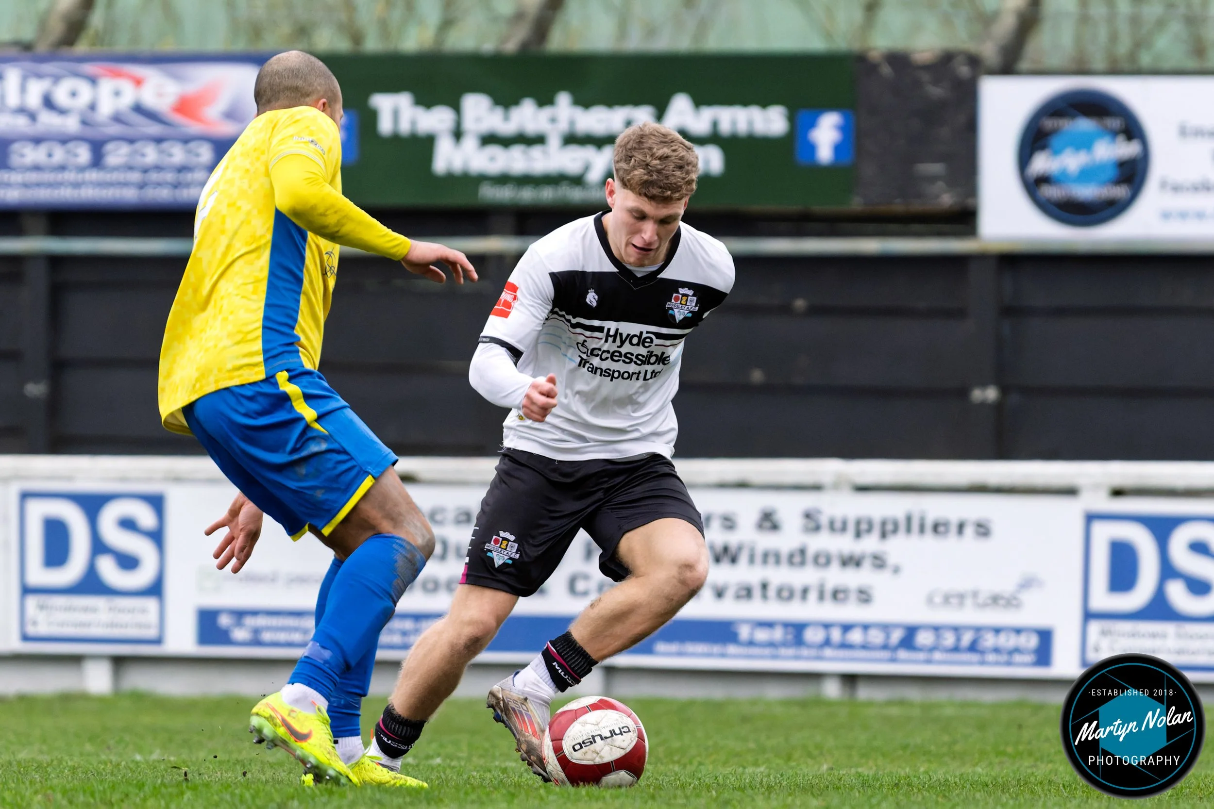 DSC_2199-DxO_DeepPRIME 3.jpg