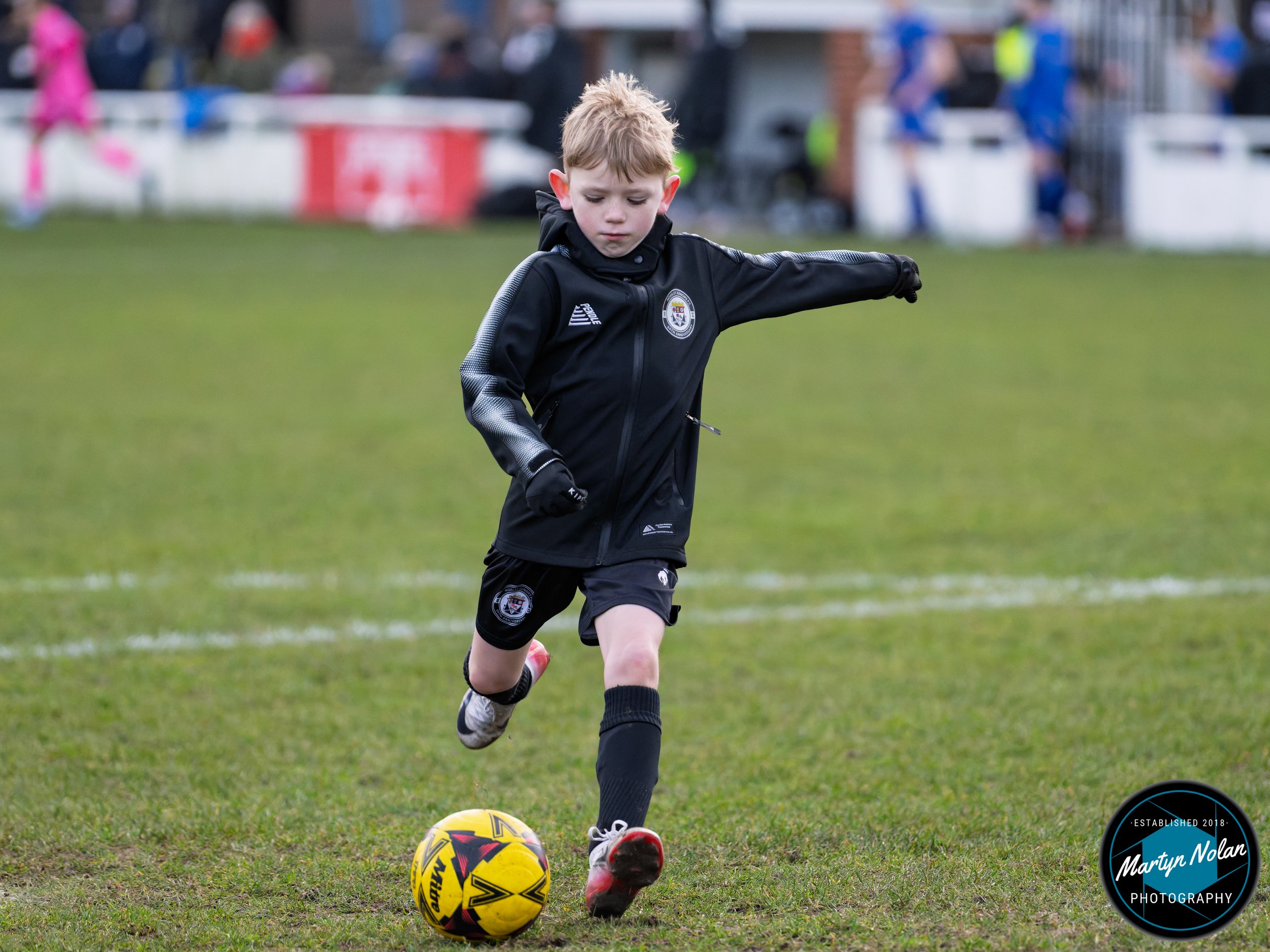 DSC_2887-DxO_DeepPRIME 3.jpg