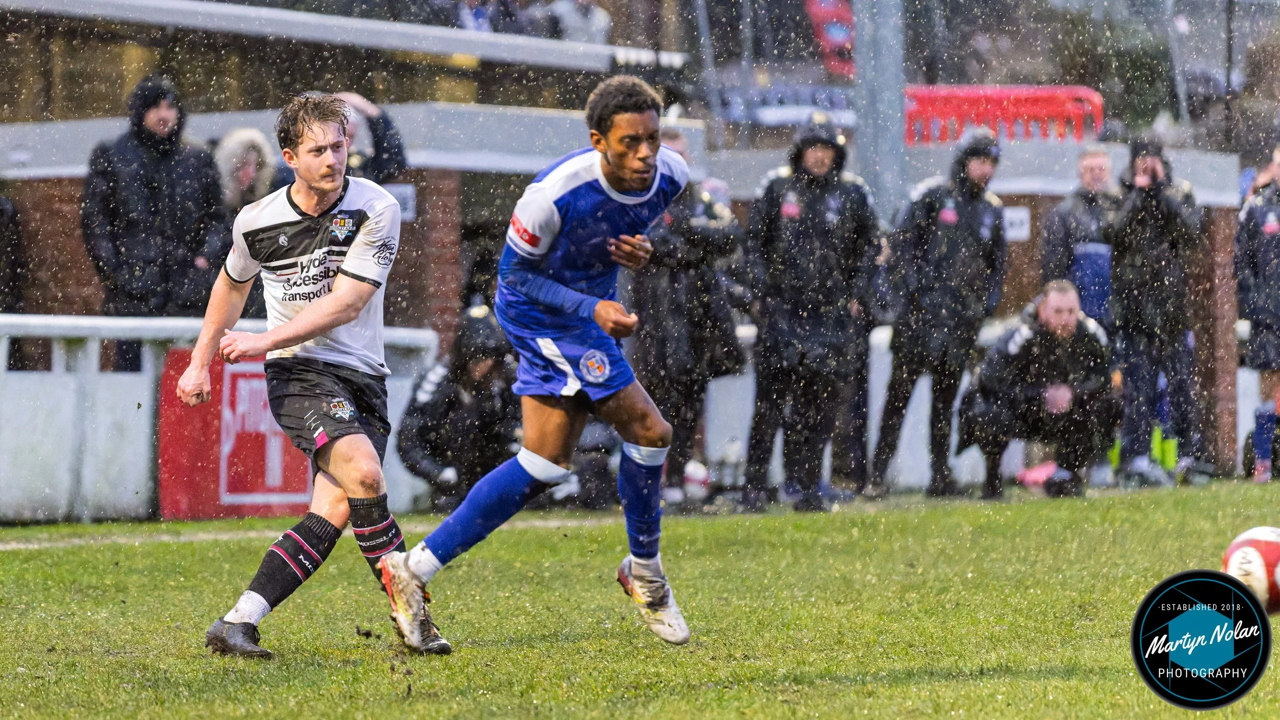 DSC_2303-DxO_DeepPRIME 3.jpg