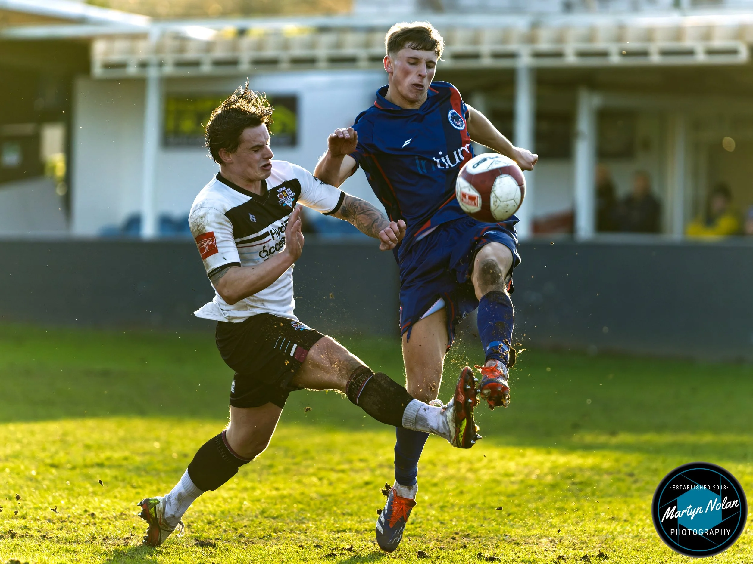 DSC_2458-DxO_DeepPRIME 3.jpg