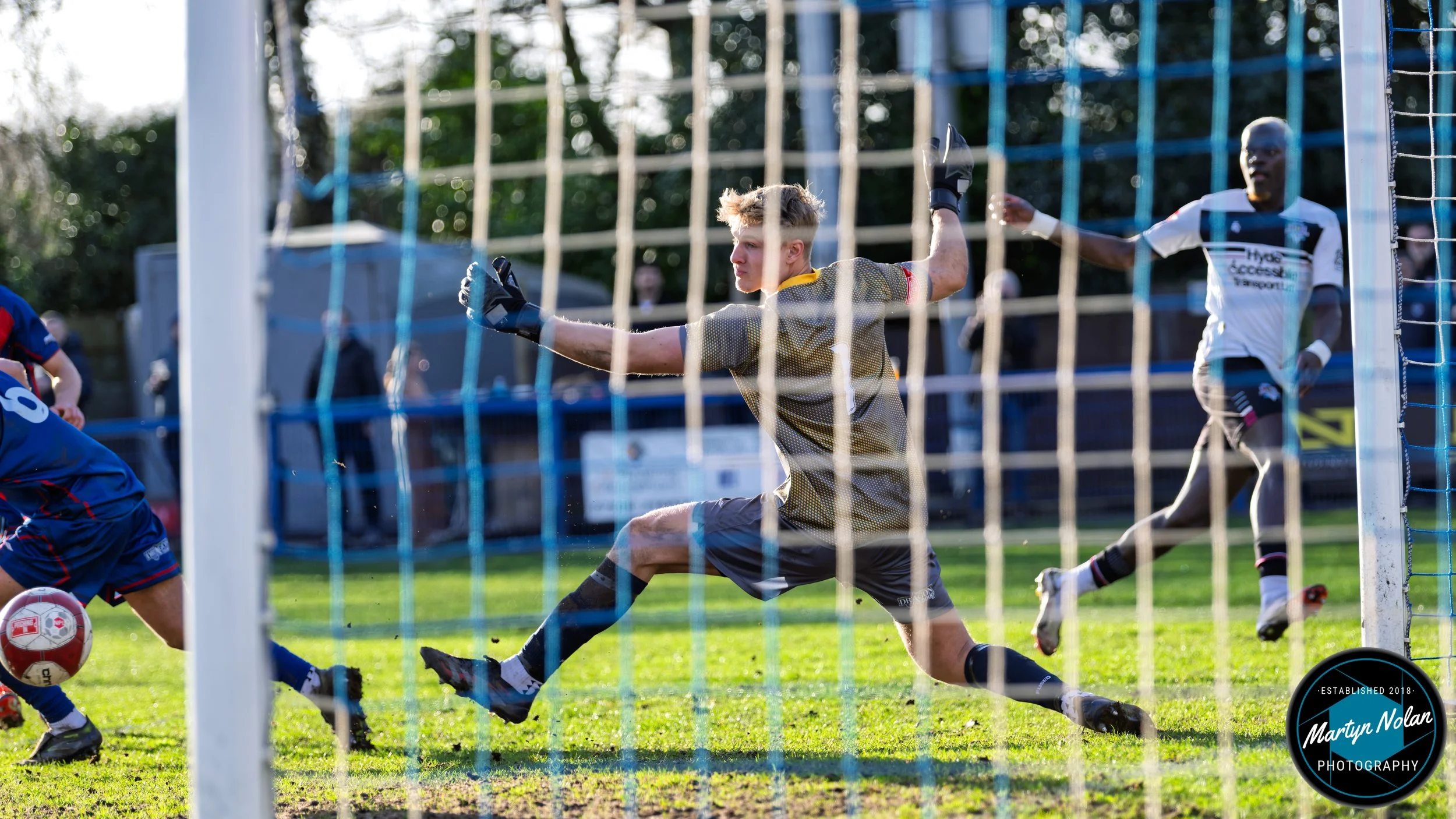 DSC_1738-DxO_DeepPRIME 3.jpg