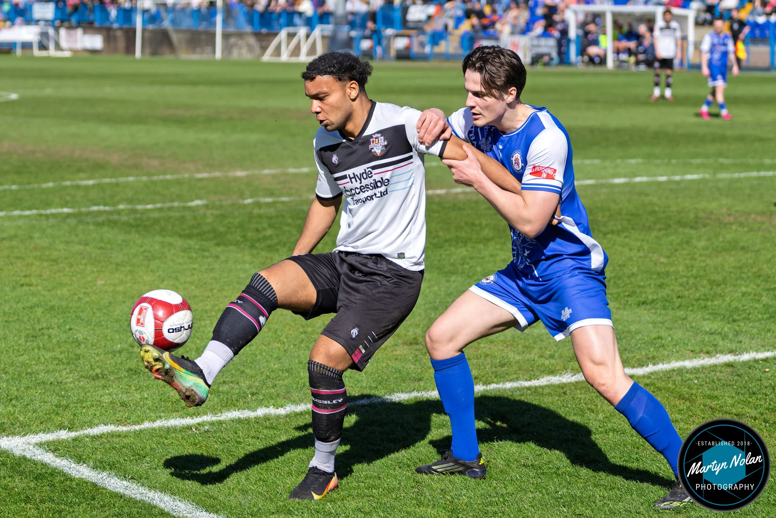 DSC_0193-DxO_DeepPRIME 3.jpg