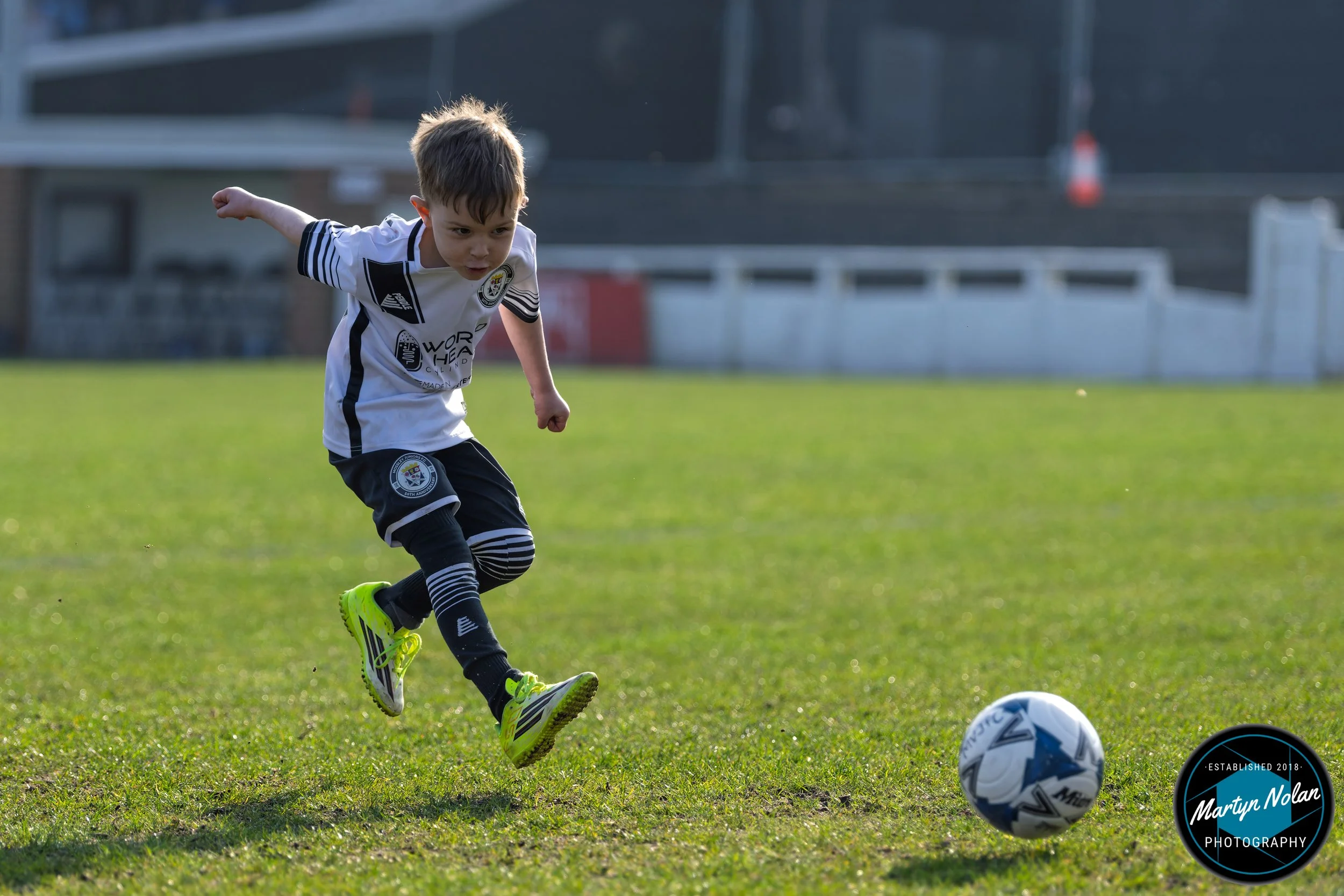 DSC_0749-DxO_DeepPRIME 3.jpg