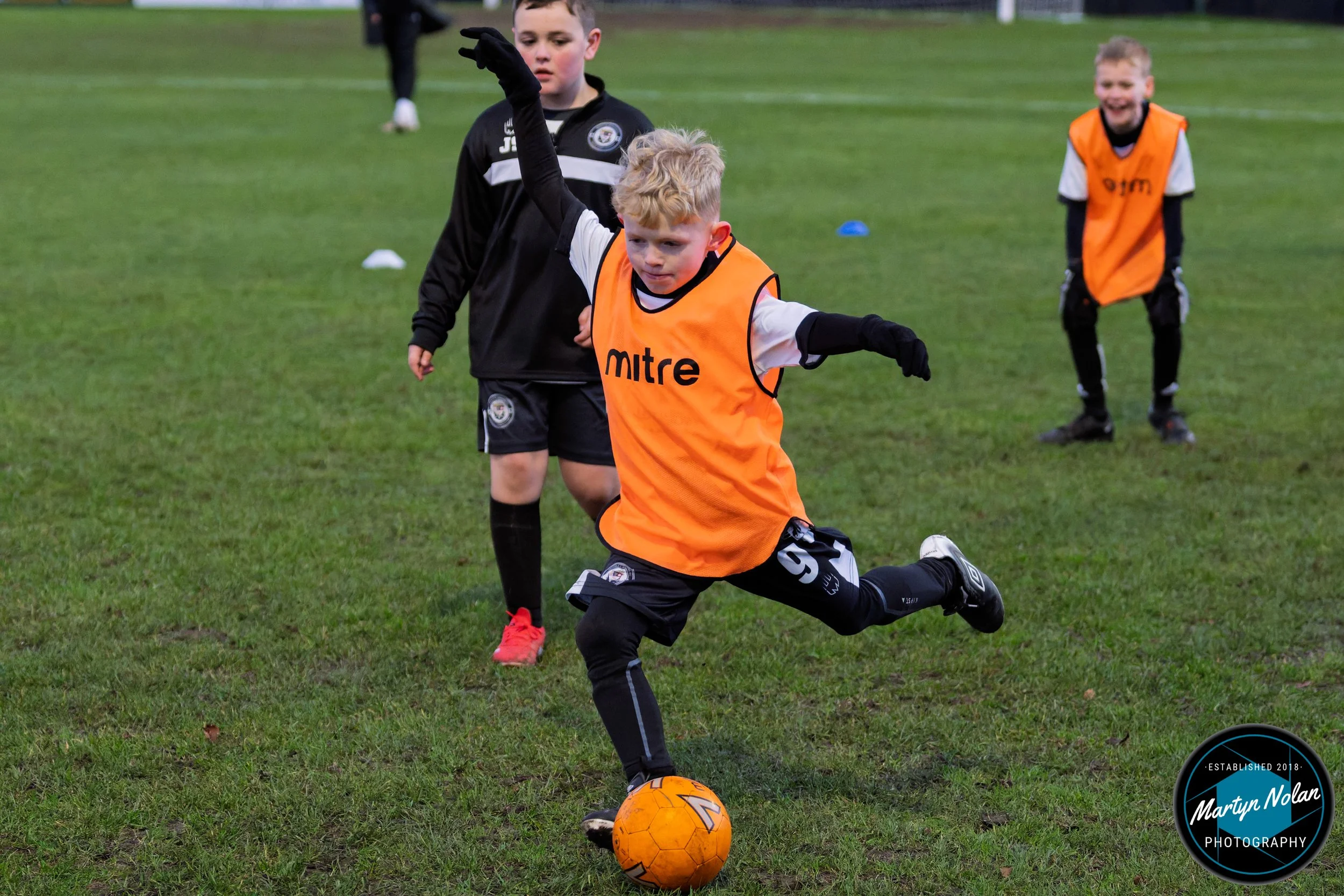 DSC_1529-DxO_DeepPRIME 3.jpg