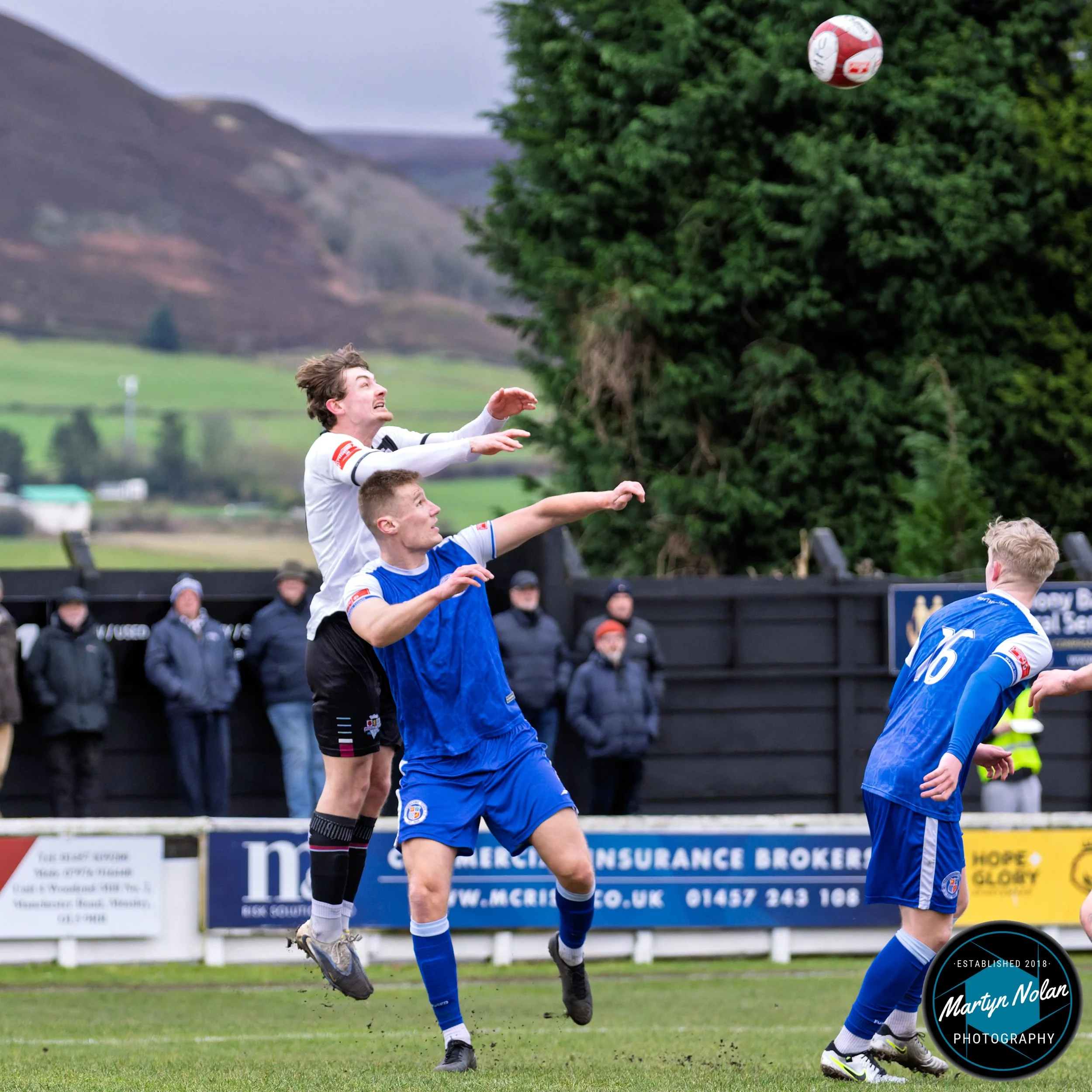 DSC_0645-DxO_DeepPRIME 3.jpg