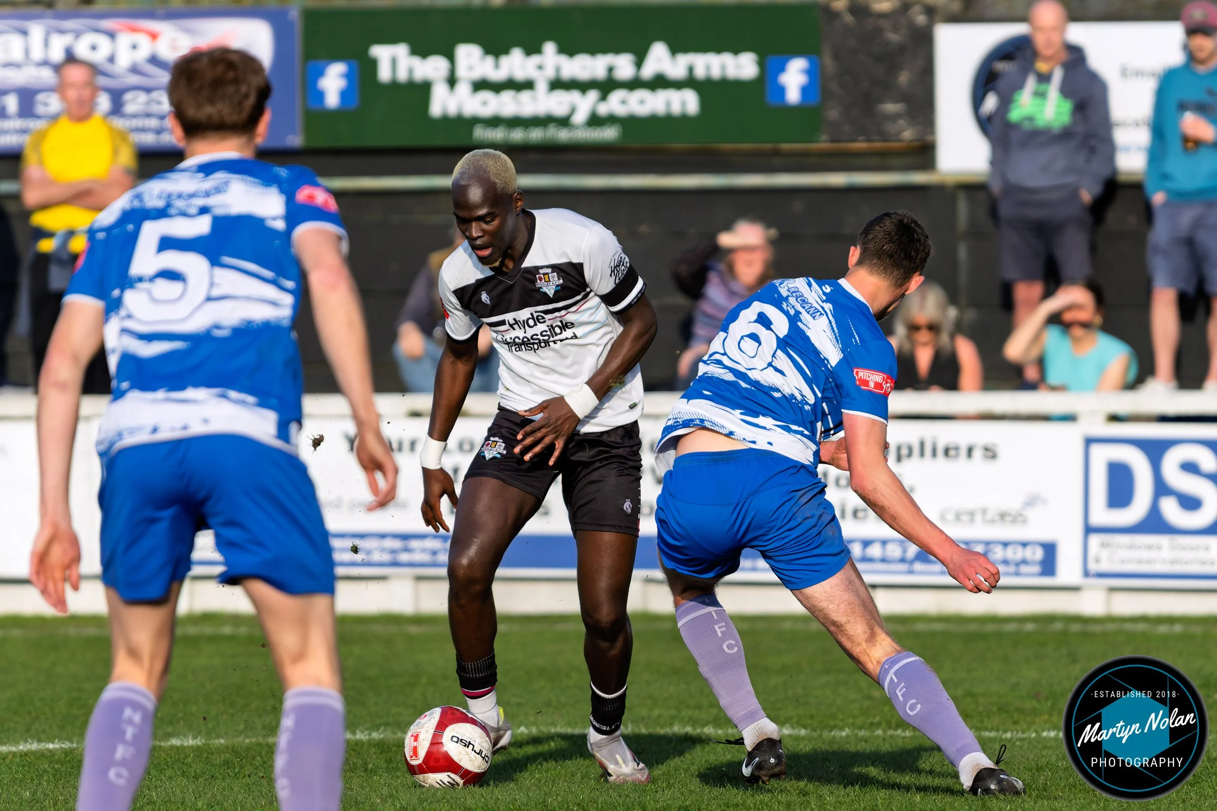 DSC_3055-DxO_DeepPRIME 3.jpg