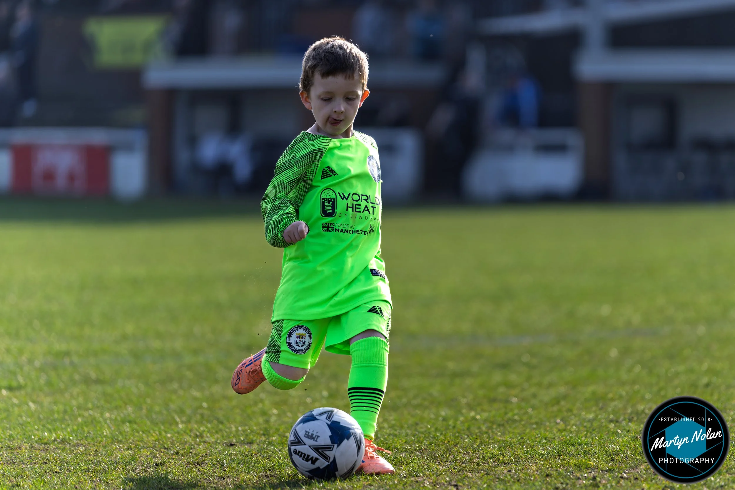 DSC_1221-DxO_DeepPRIME 3.jpg