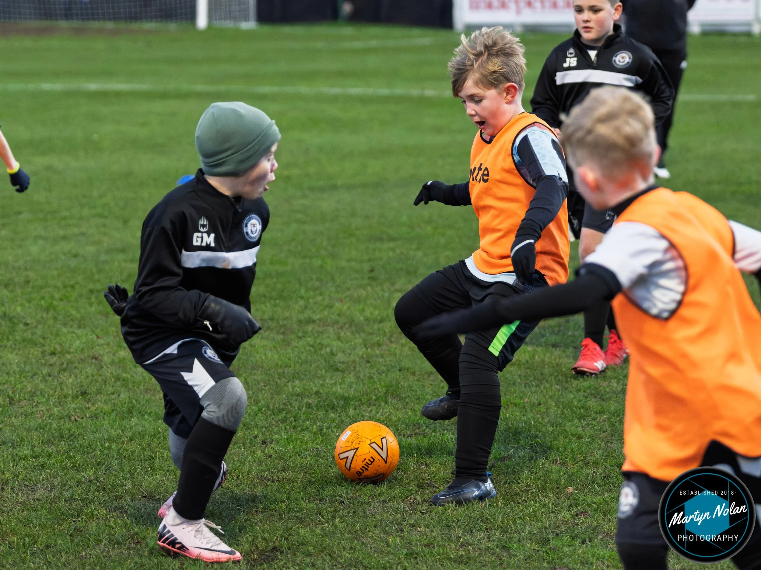 DSC_1339-DxO_DeepPRIME 3.jpg