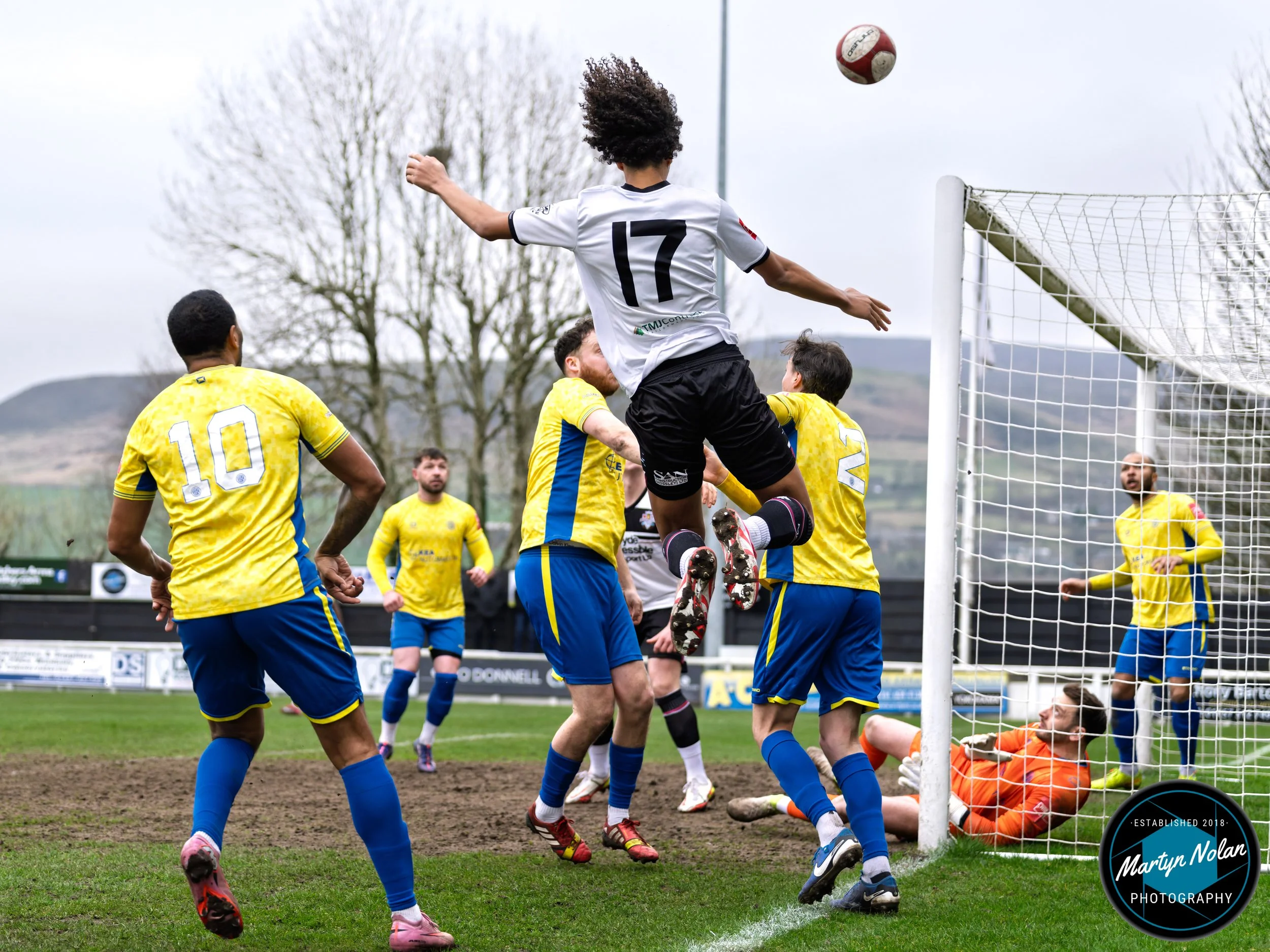 DSC_1997-DxO_DeepPRIME 3.jpg