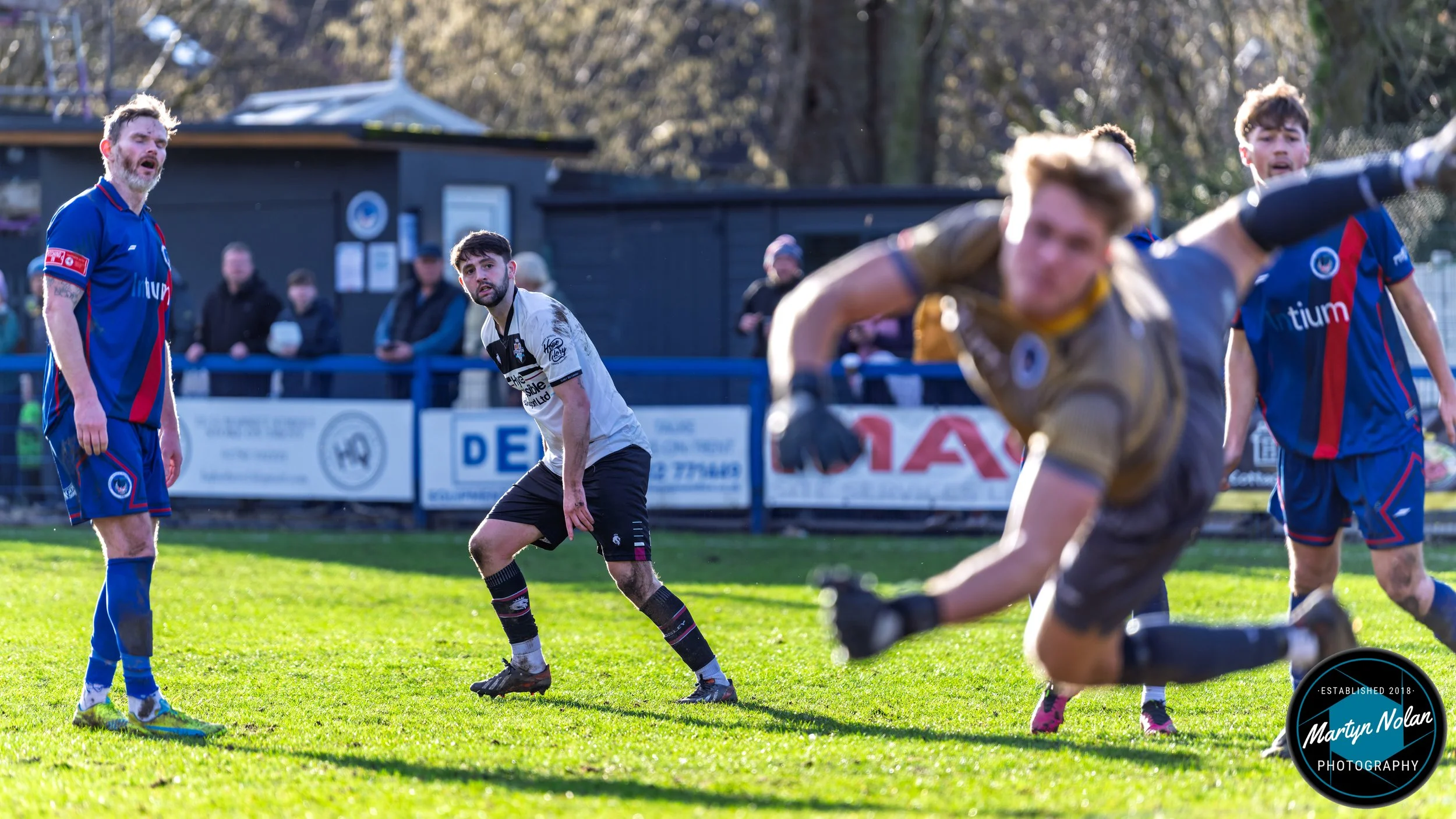 DSC_1512-DxO_DeepPRIME 3.jpg