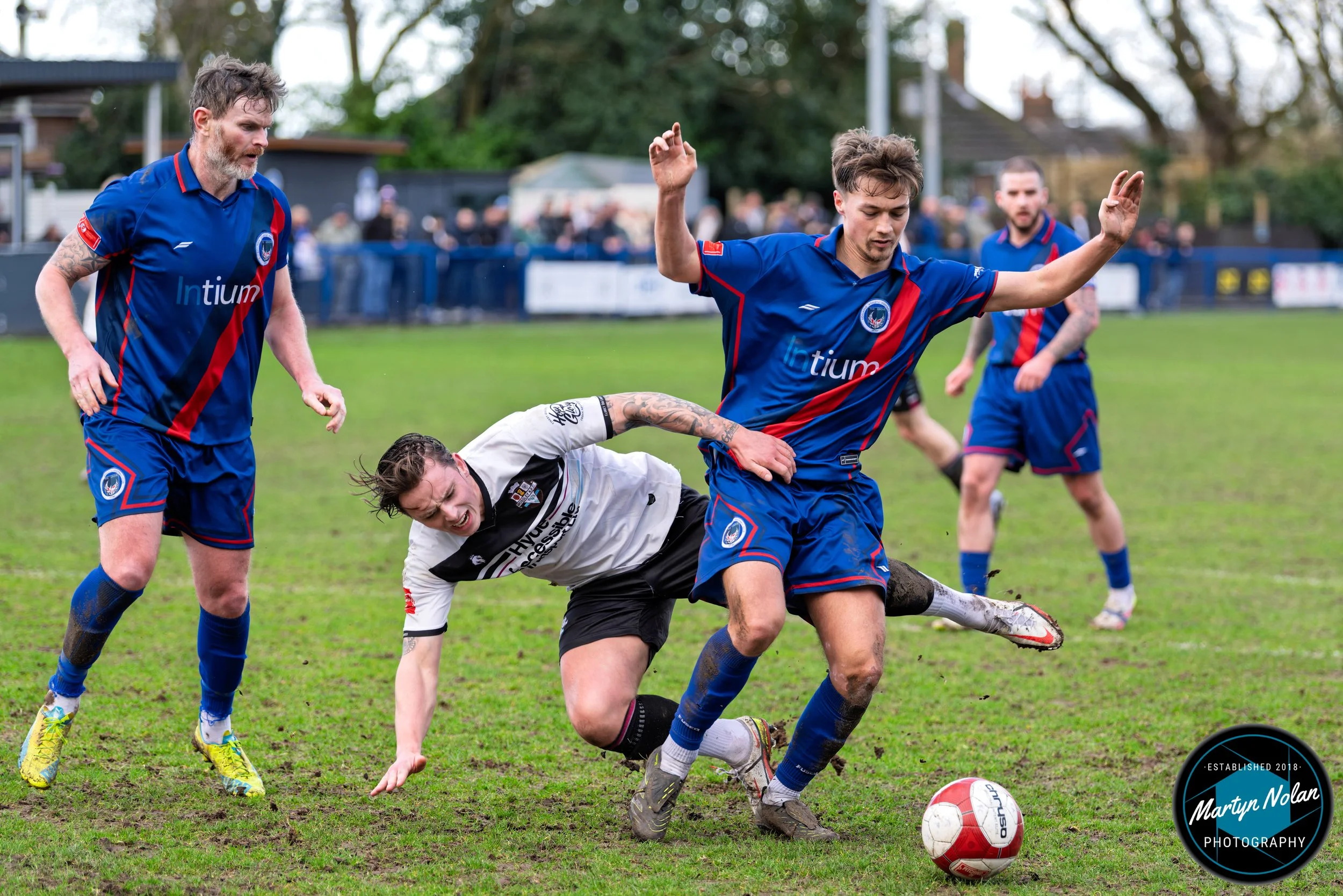 DSC_0925-DxO_DeepPRIME 3.jpg