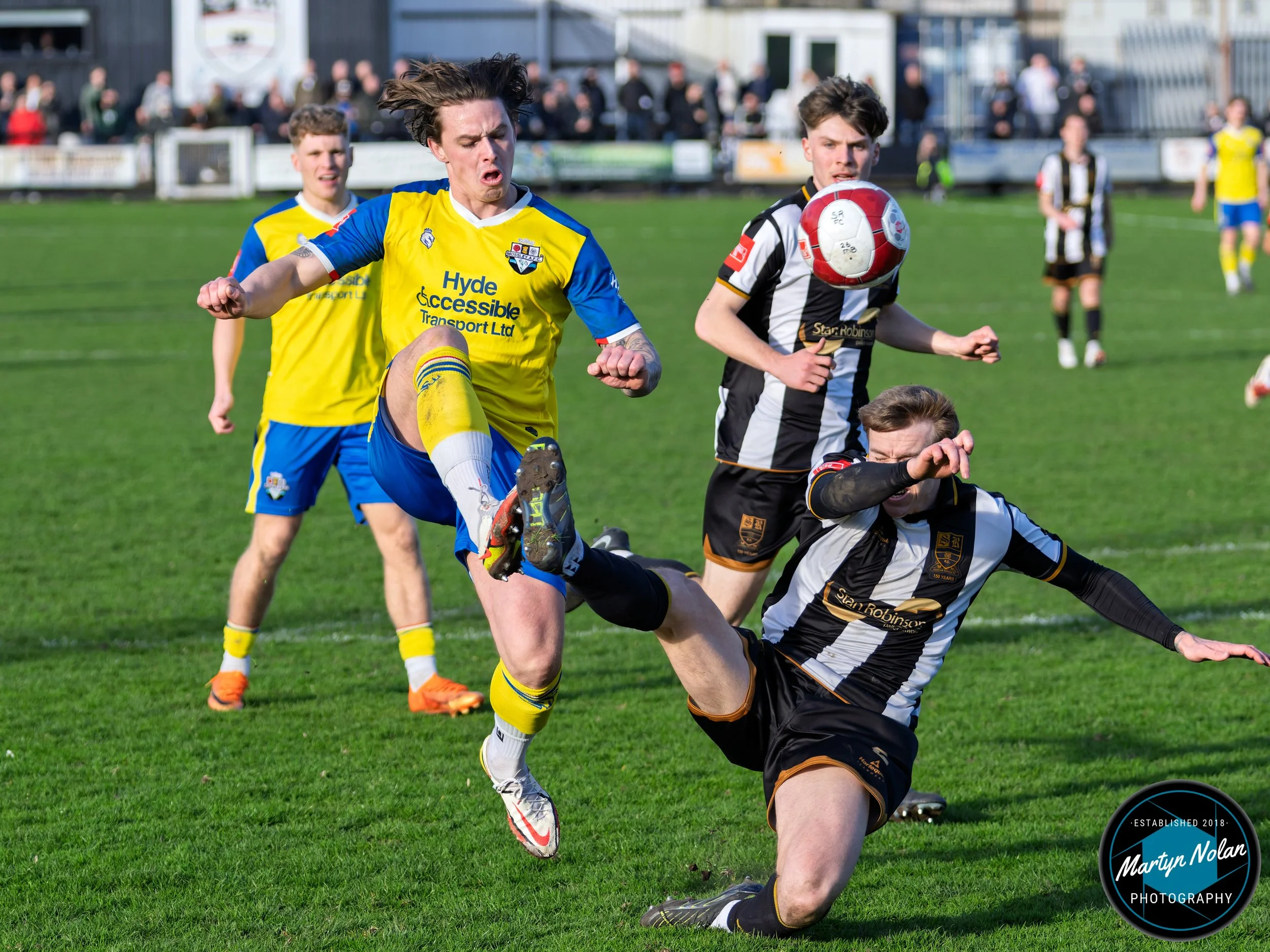 DSC_1282-DxO_DeepPRIME 3.jpg