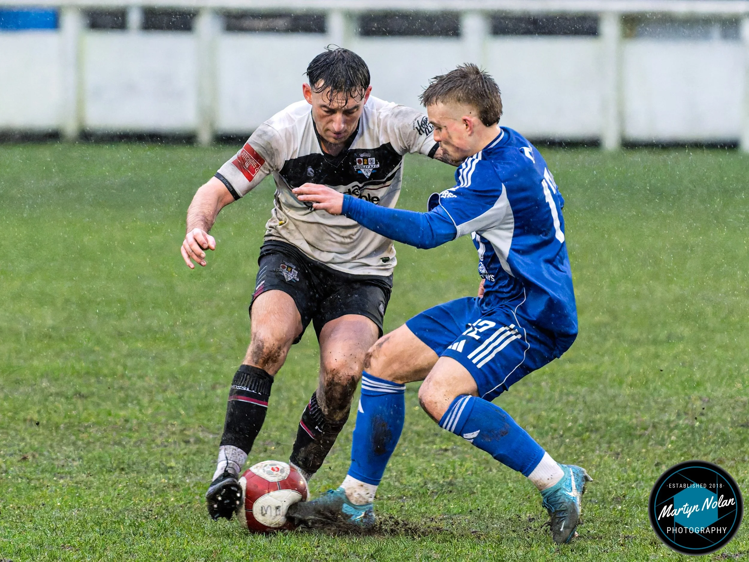 DSC_1849-DxO_DeepPRIME 3.jpg