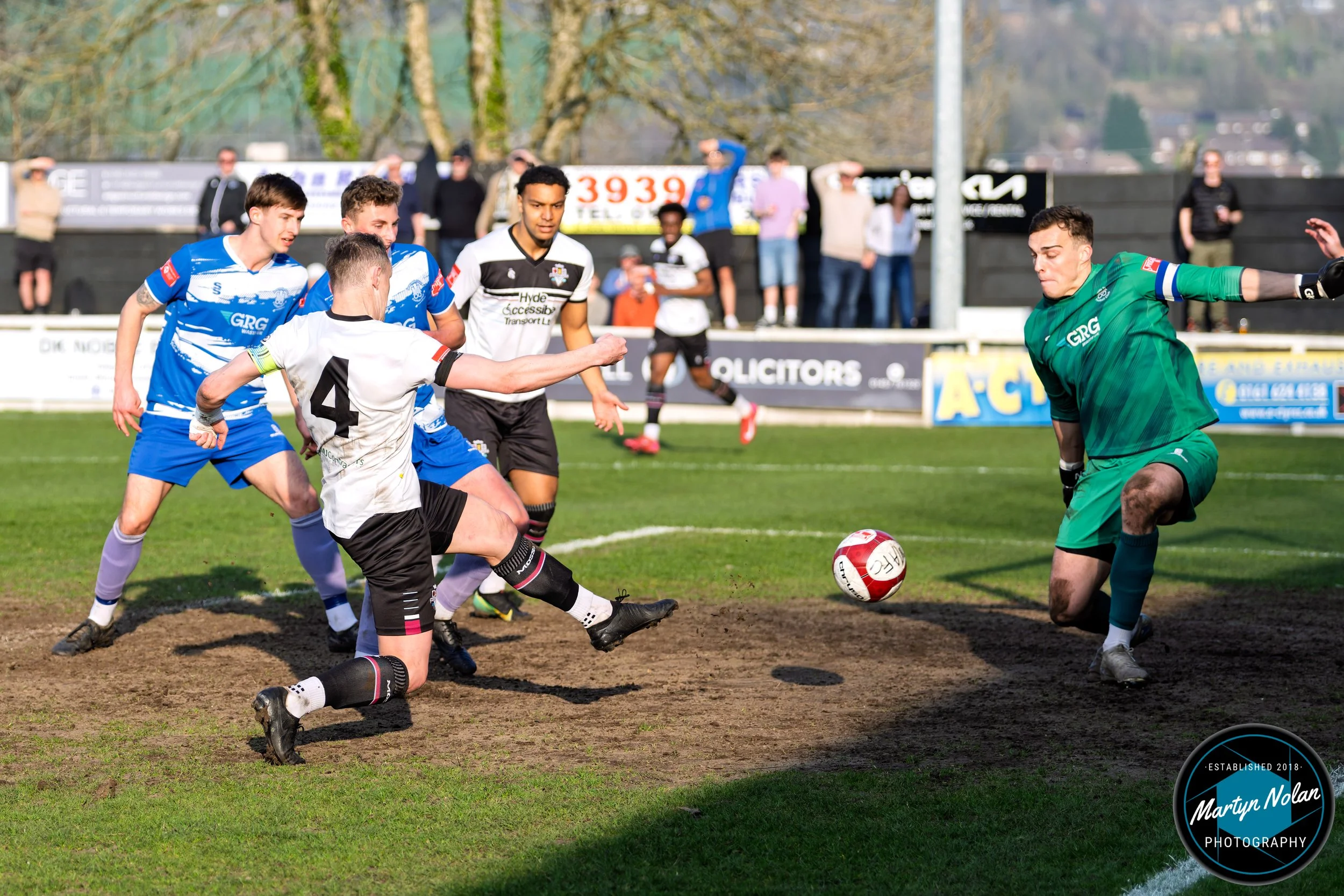 DSC_3413-DxO_DeepPRIME 3.jpg