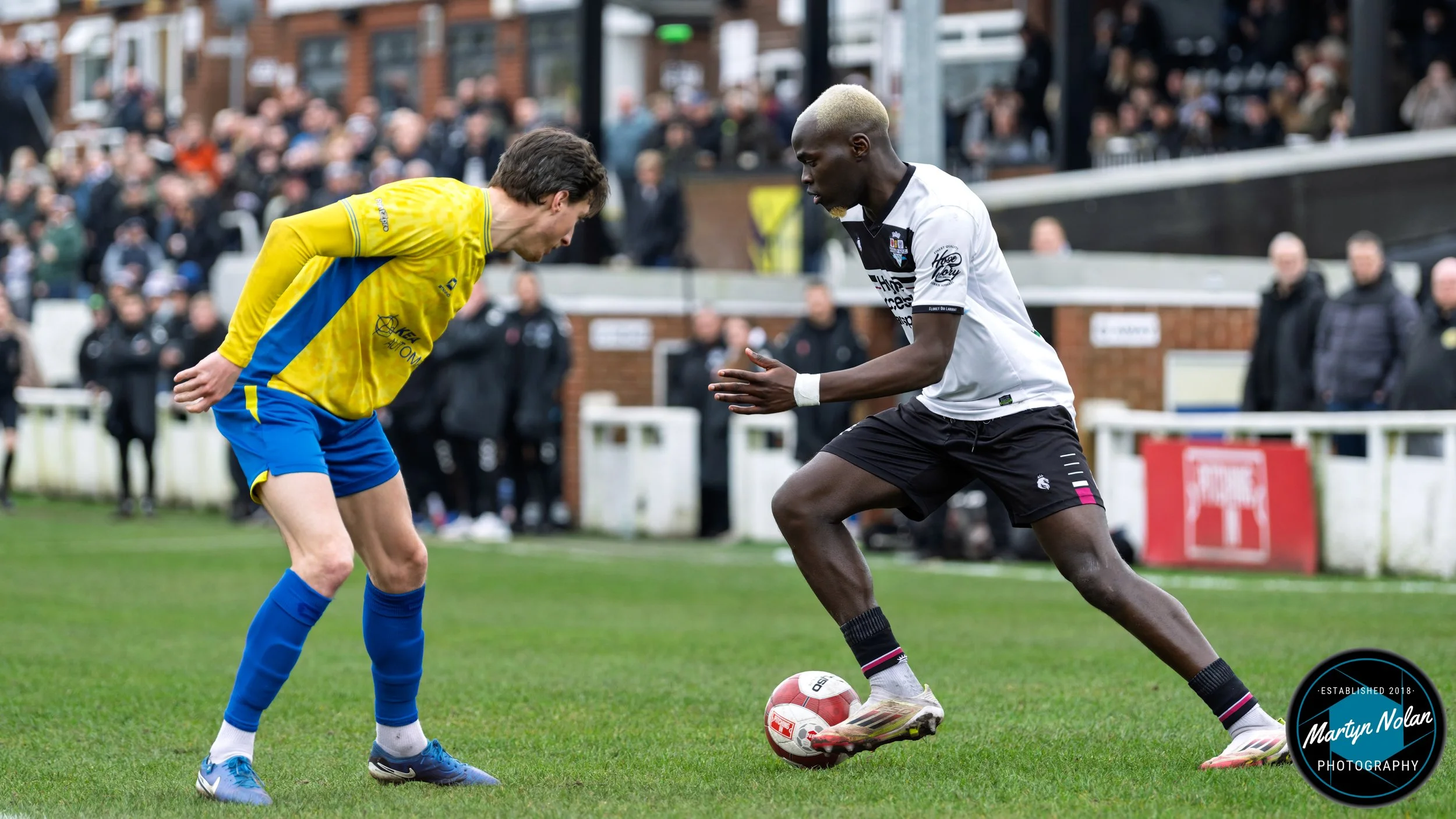 DSC_0873-DxO_DeepPRIME 3.jpg