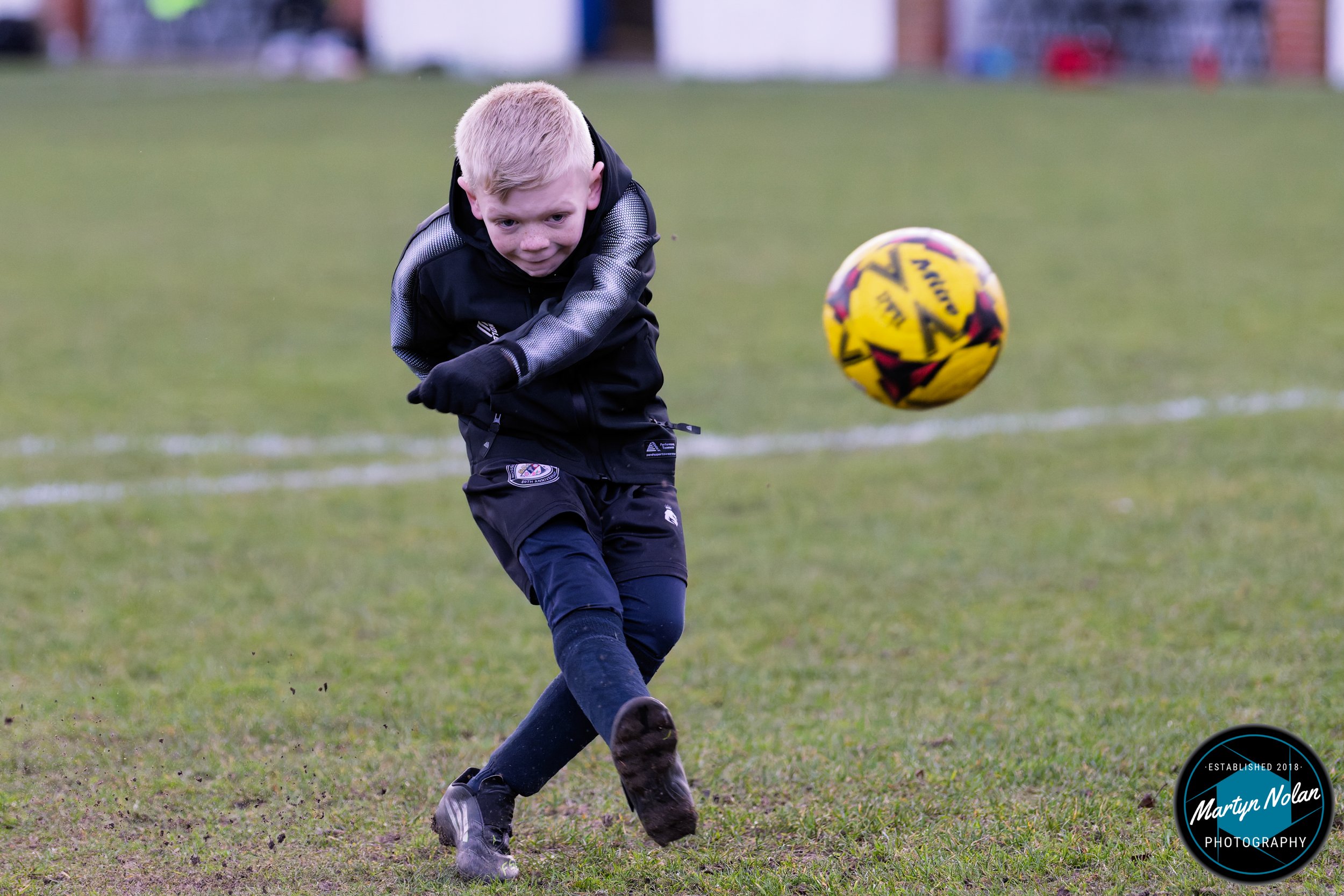 DSC_1269-DxO_DeepPRIME 3.jpg