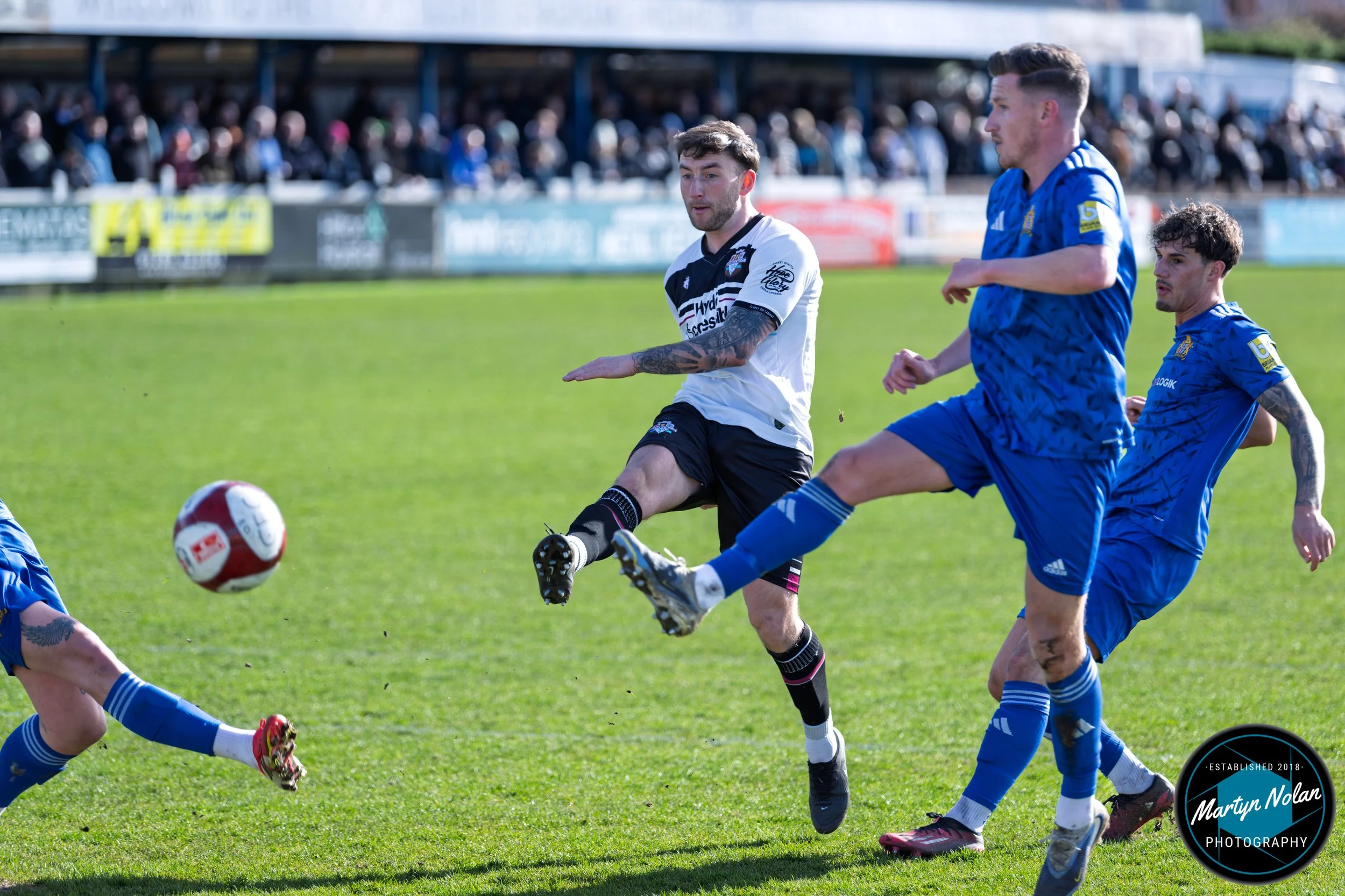 DSC_0101-DxO_DeepPRIME 3.jpg