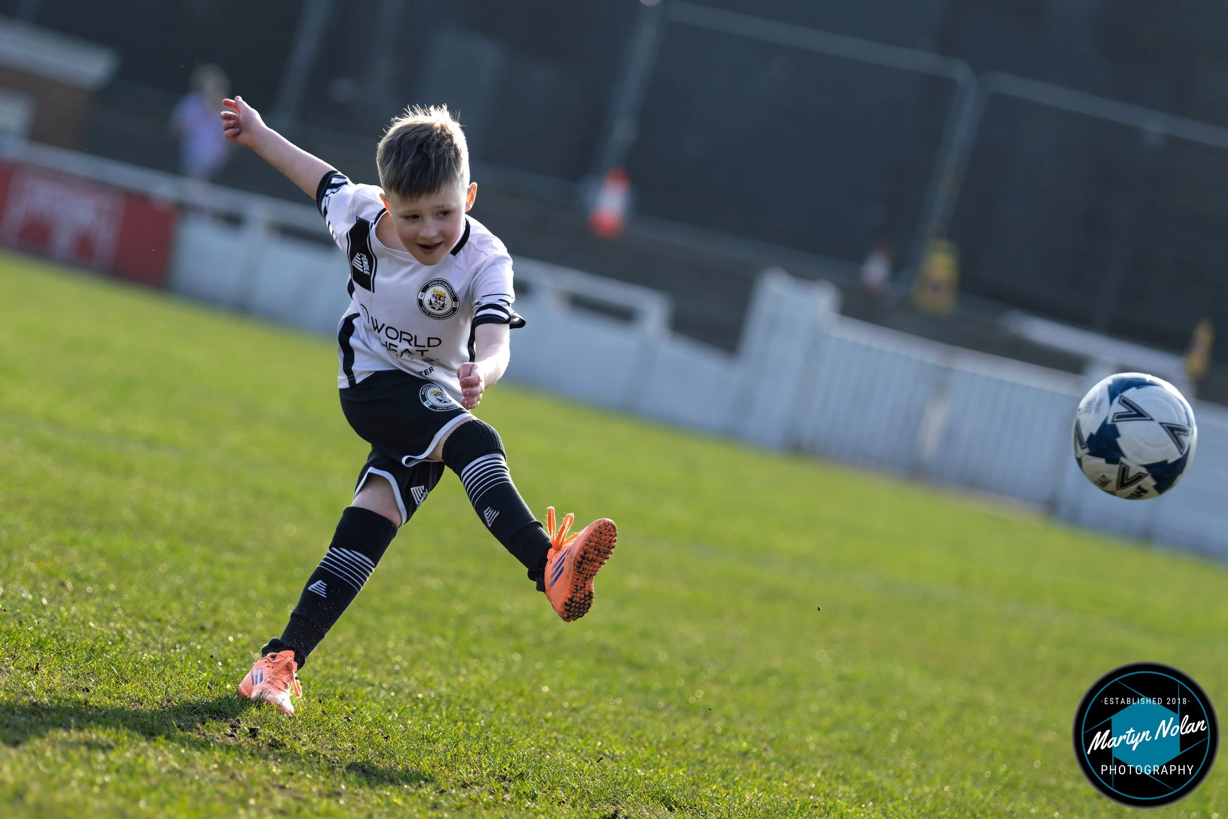 DSC_0930-DxO_DeepPRIME 3.jpg