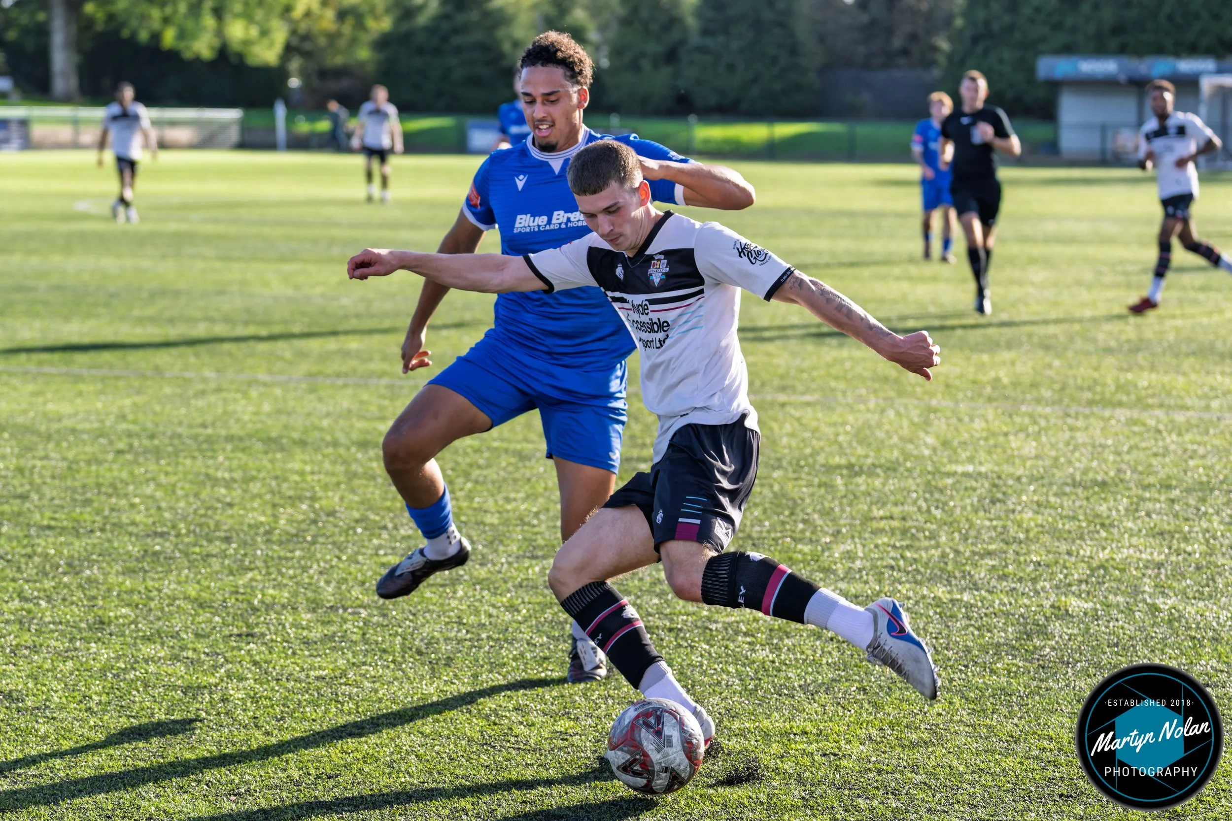 DSC_8308-DxO_DeepPRIME 3.jpg
