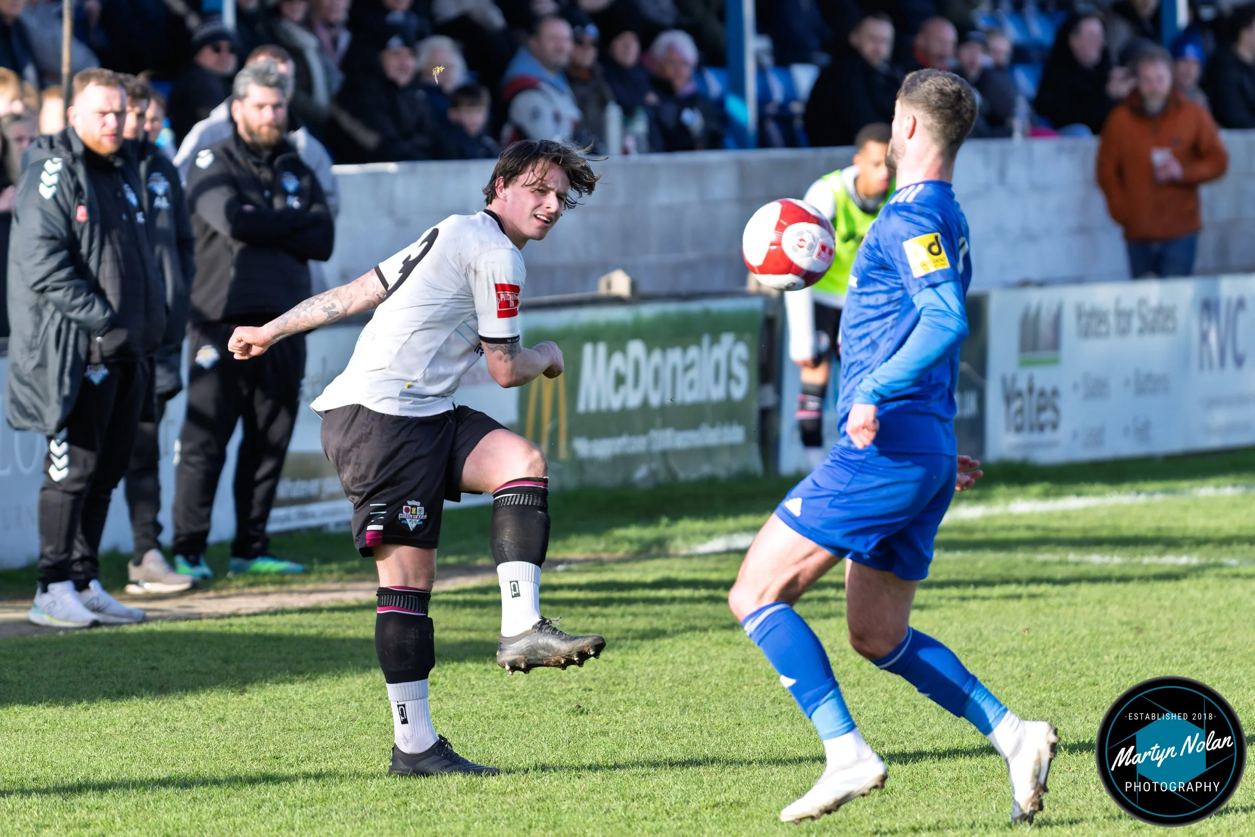 DSC_0871-DxO_DeepPRIME 3.jpg