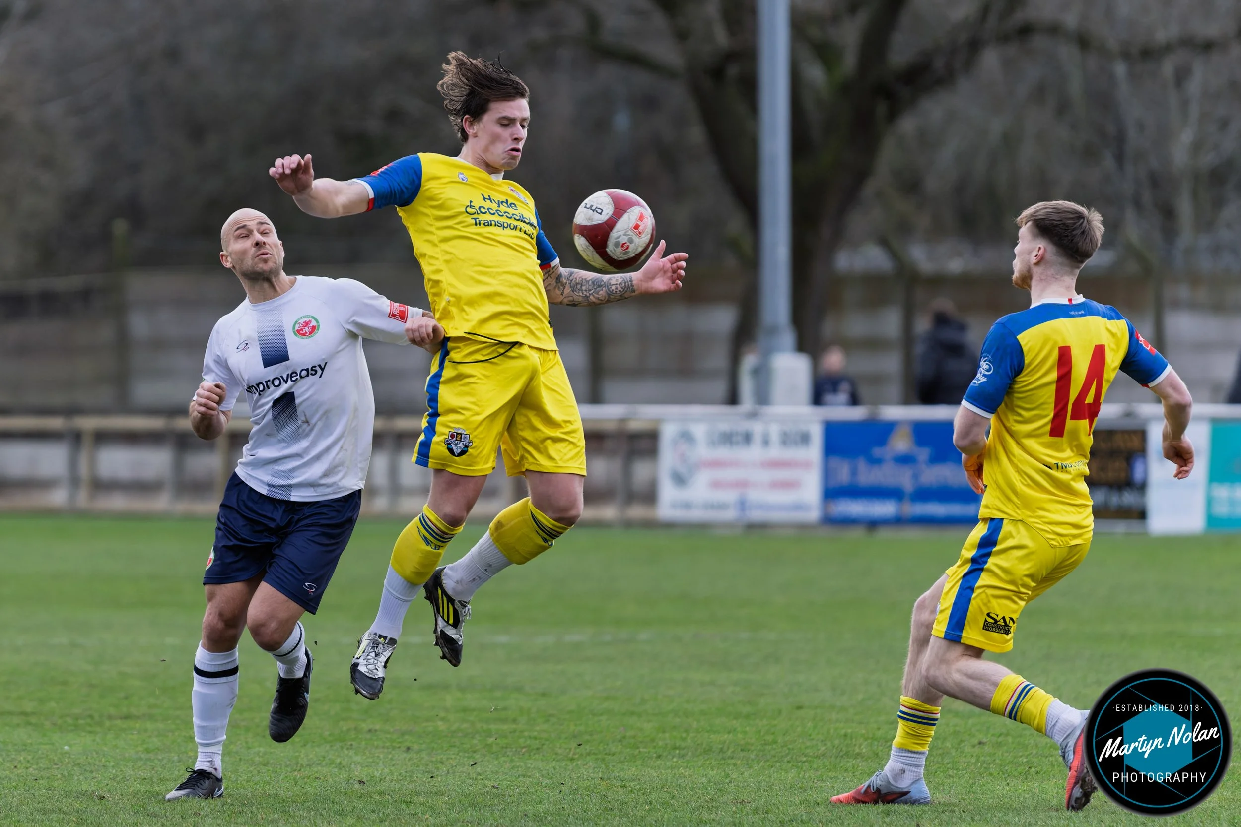 DSC_0388-DxO_DeepPRIME 3.jpg