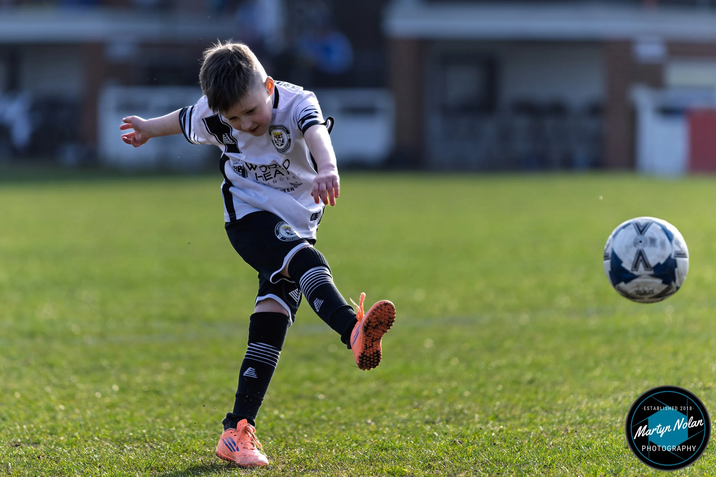 DSC_1487-DxO_DeepPRIME 3.jpg