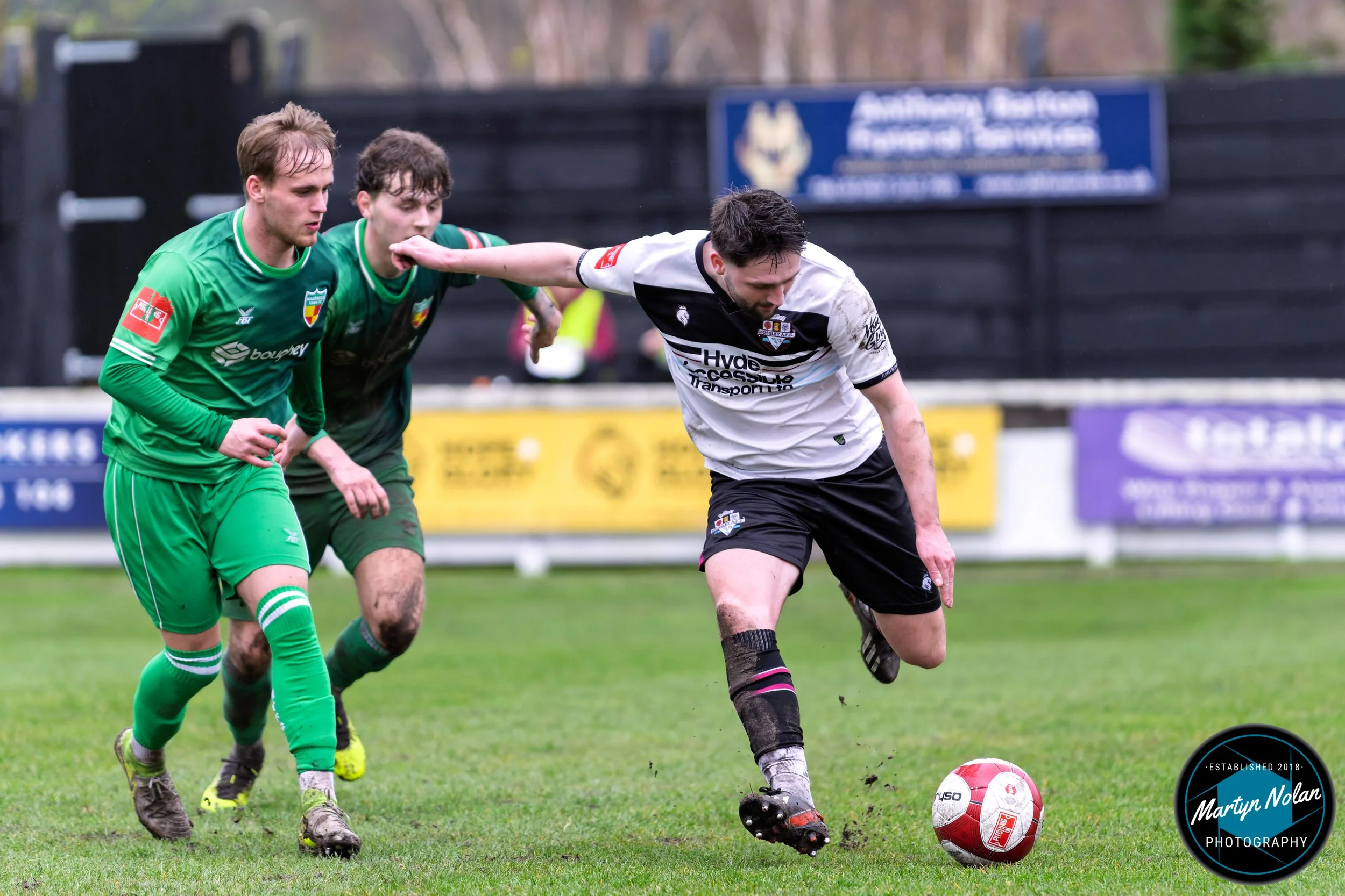 DSC_0666-DxO_DeepPRIME 3.jpg